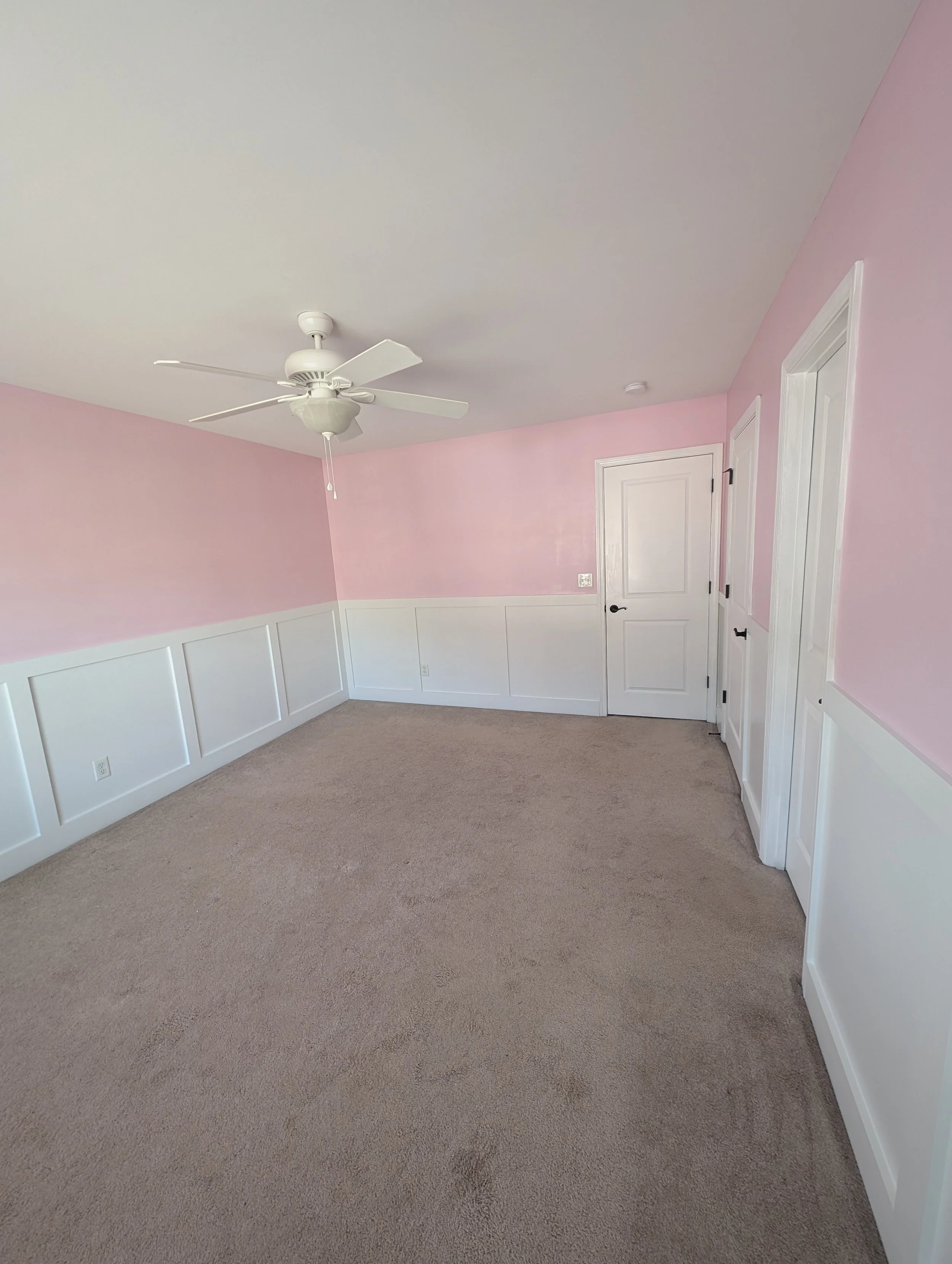 Wall & Trim Painting