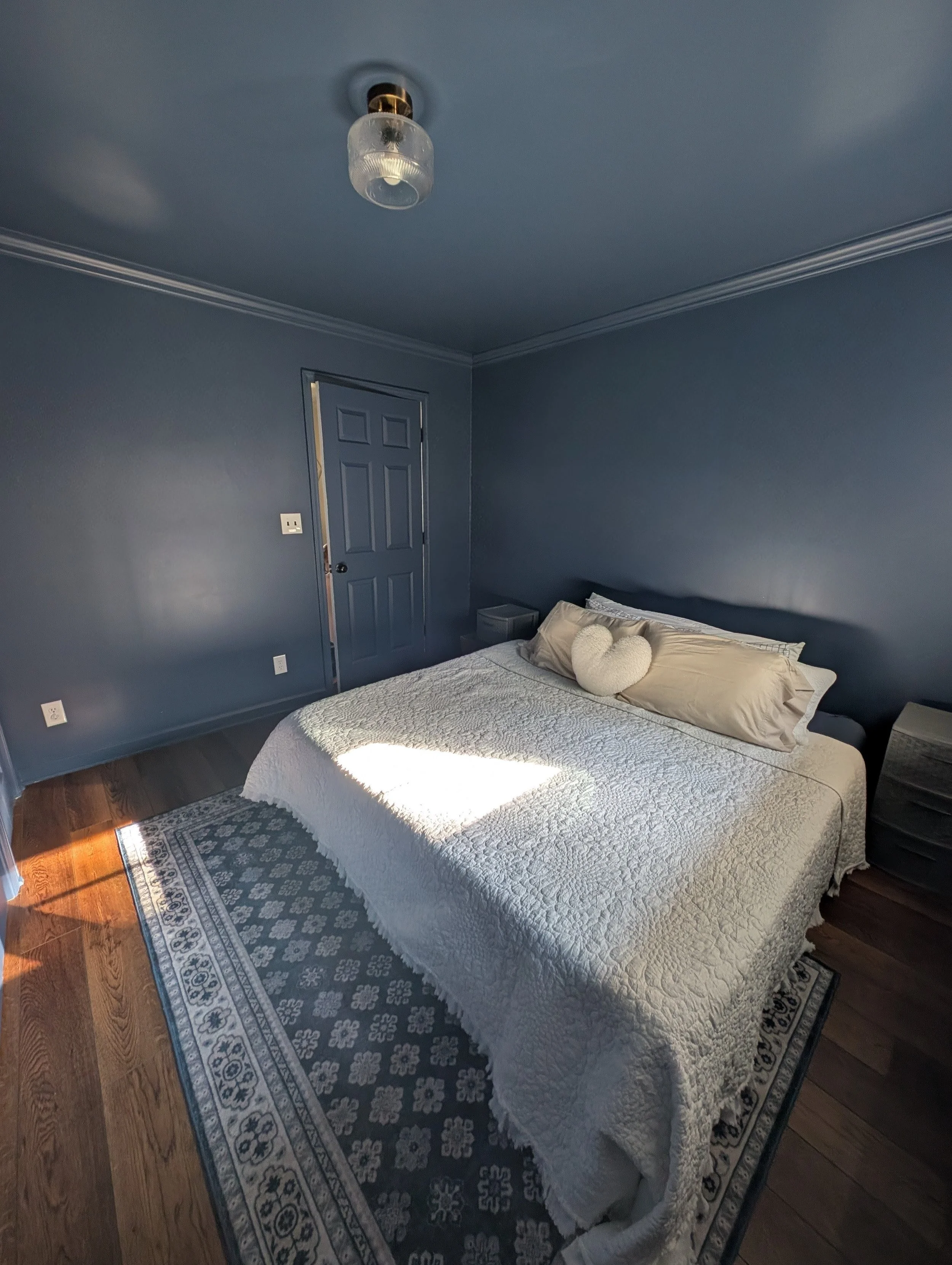 Wall & Ceiling Painting