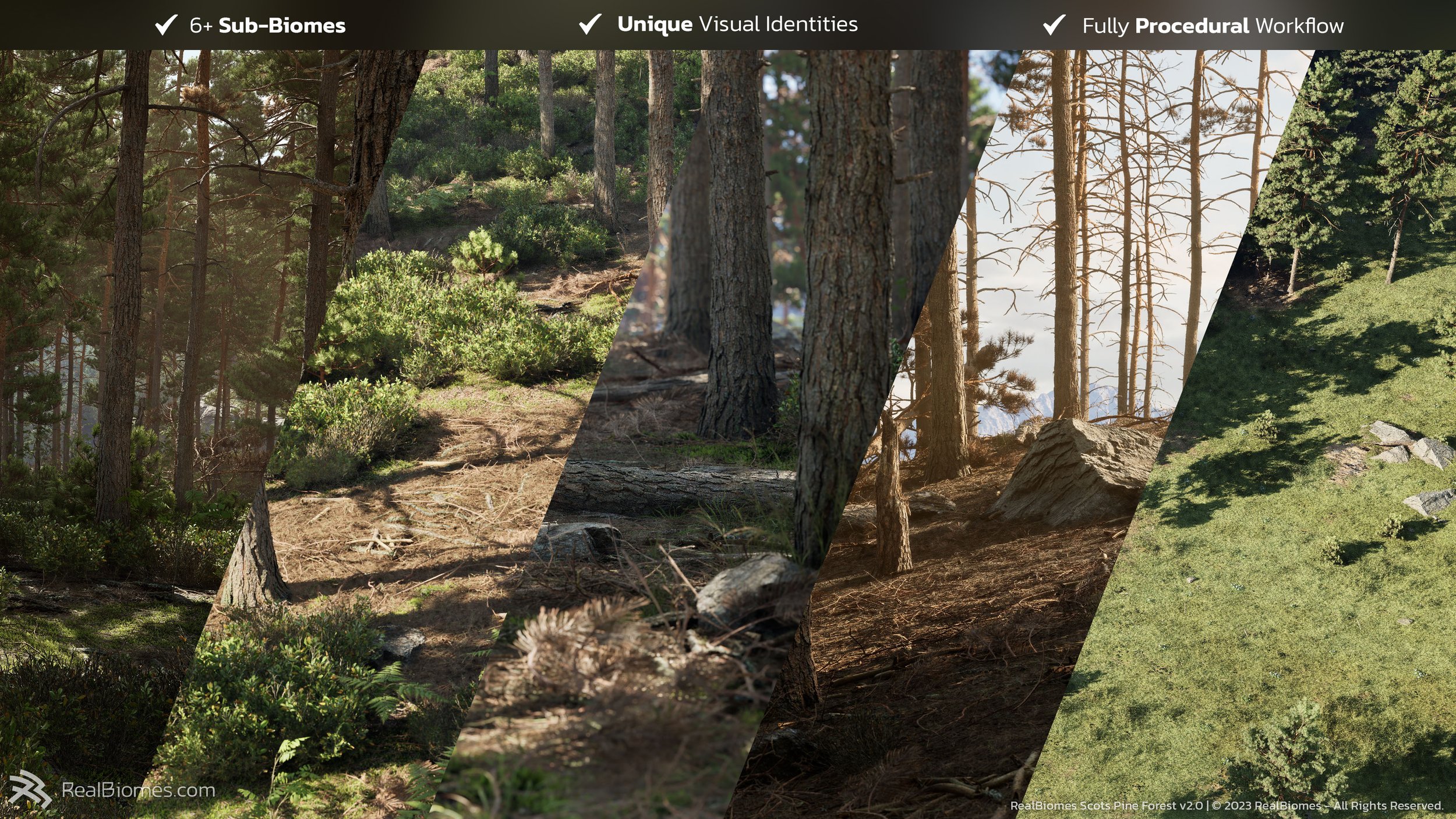 Pine_variation.jpg
