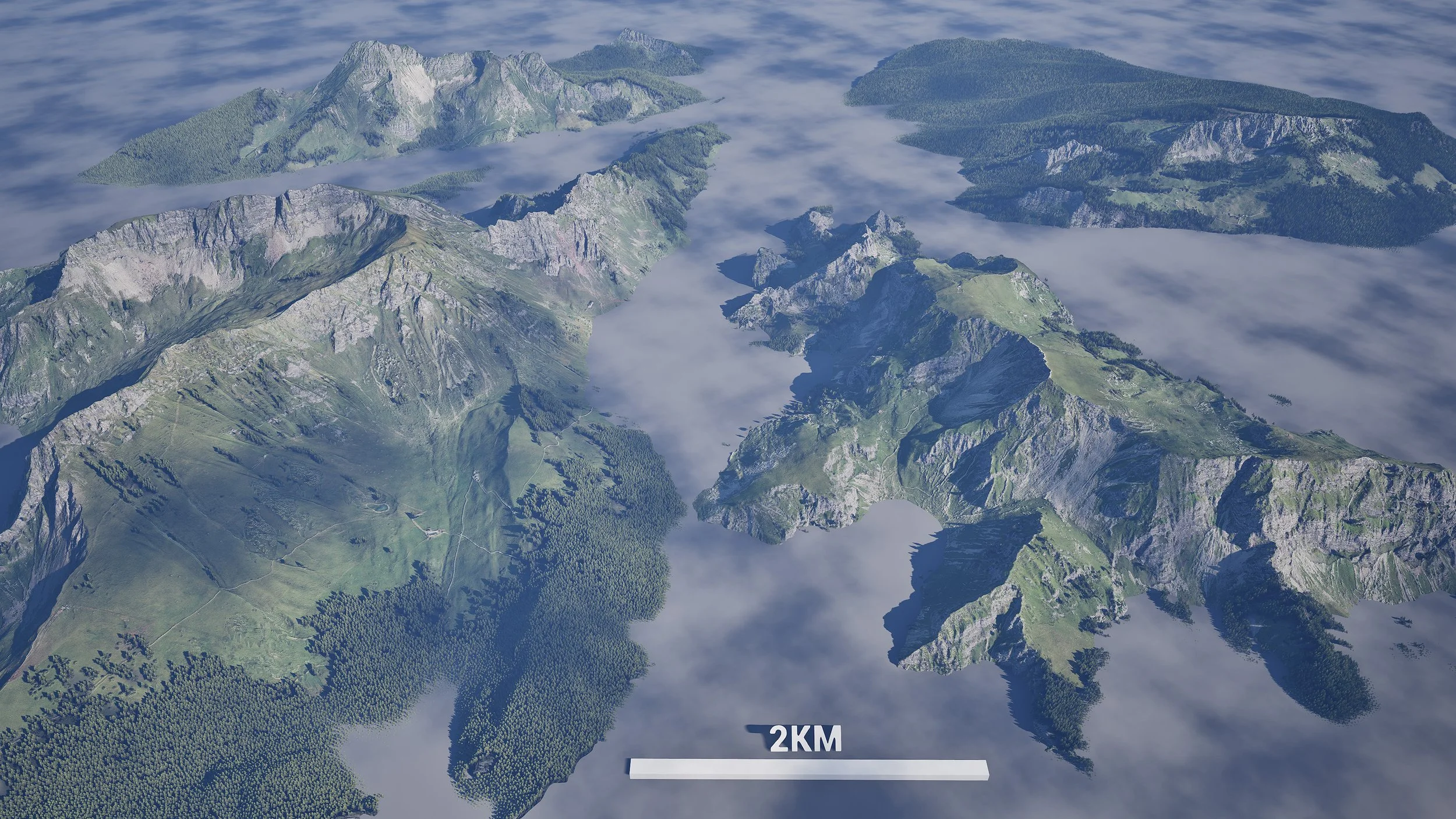 A beautiful, life-like Procedural Pine Forest Environment!