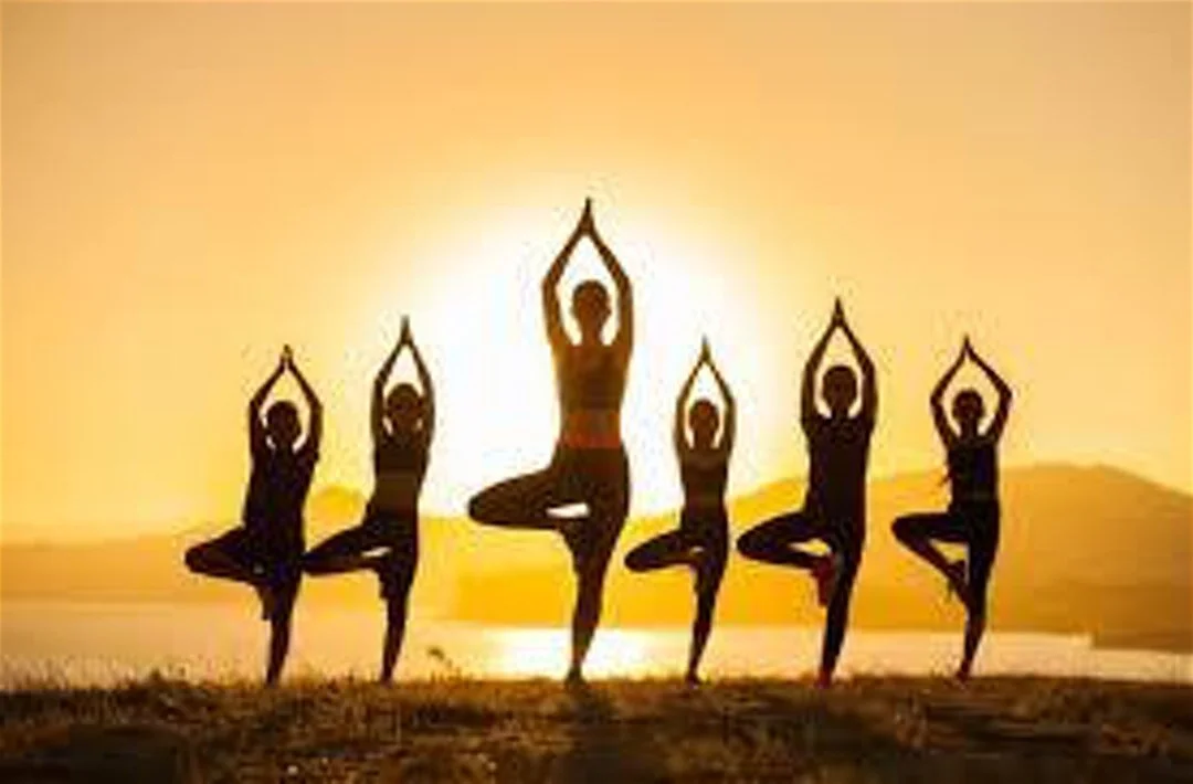 2020 NYC Wellness Summit