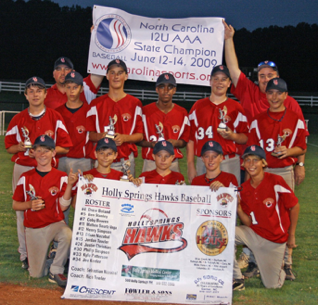 Hawks win USSSA 12U USSSA AAA State Tournament