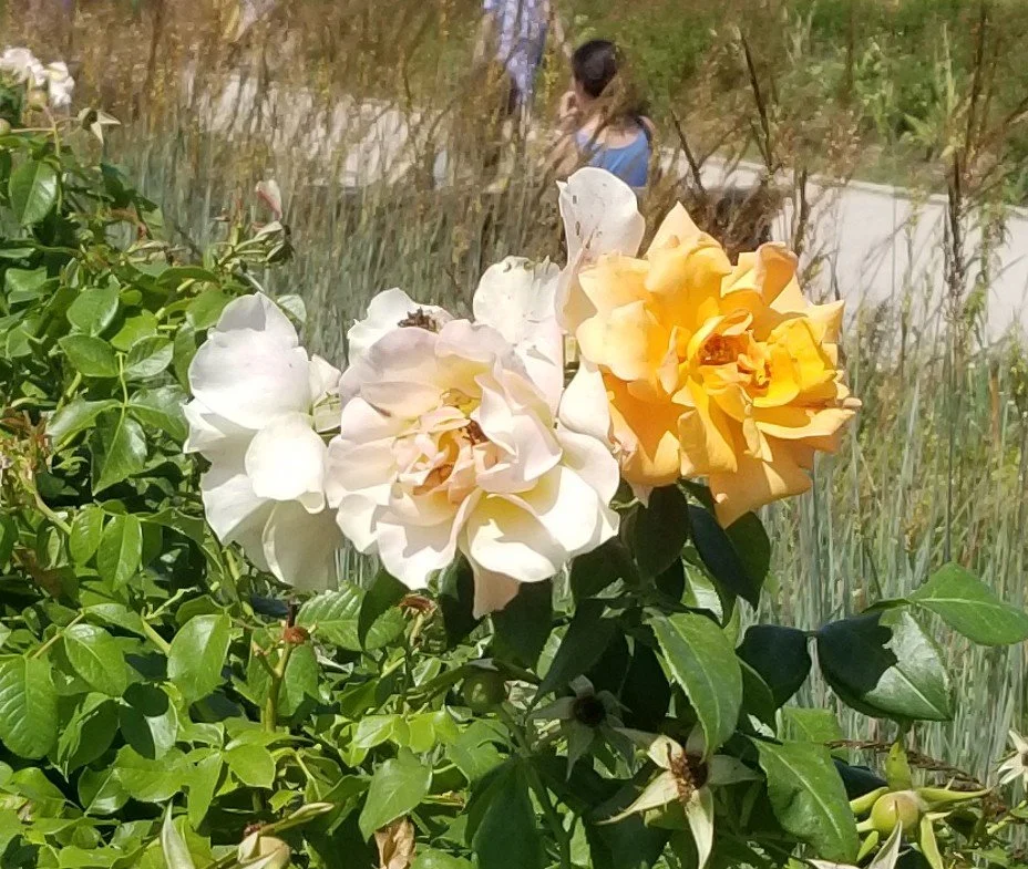 20230815_150144.jpg