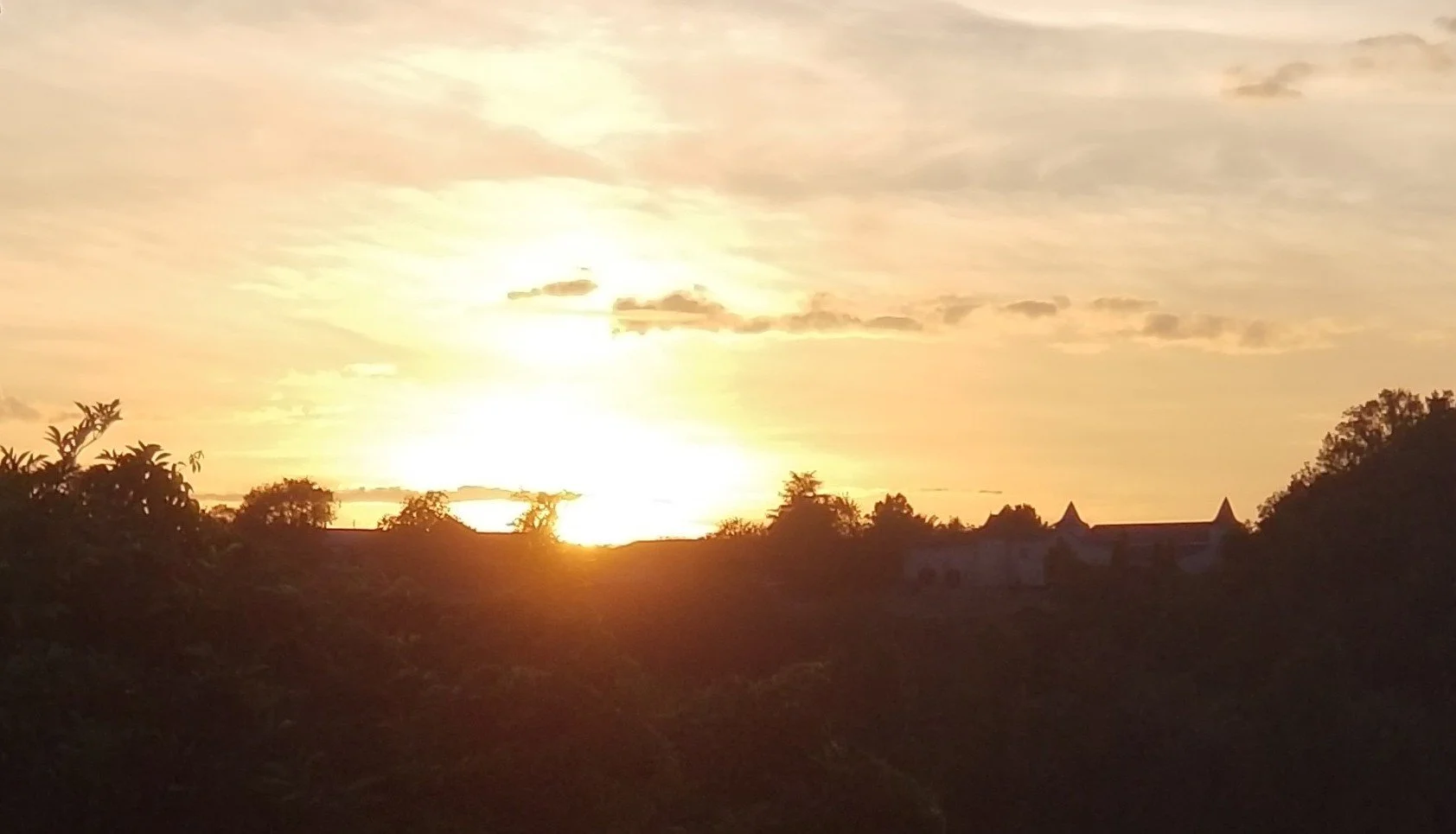 20230812_205943.jpg
