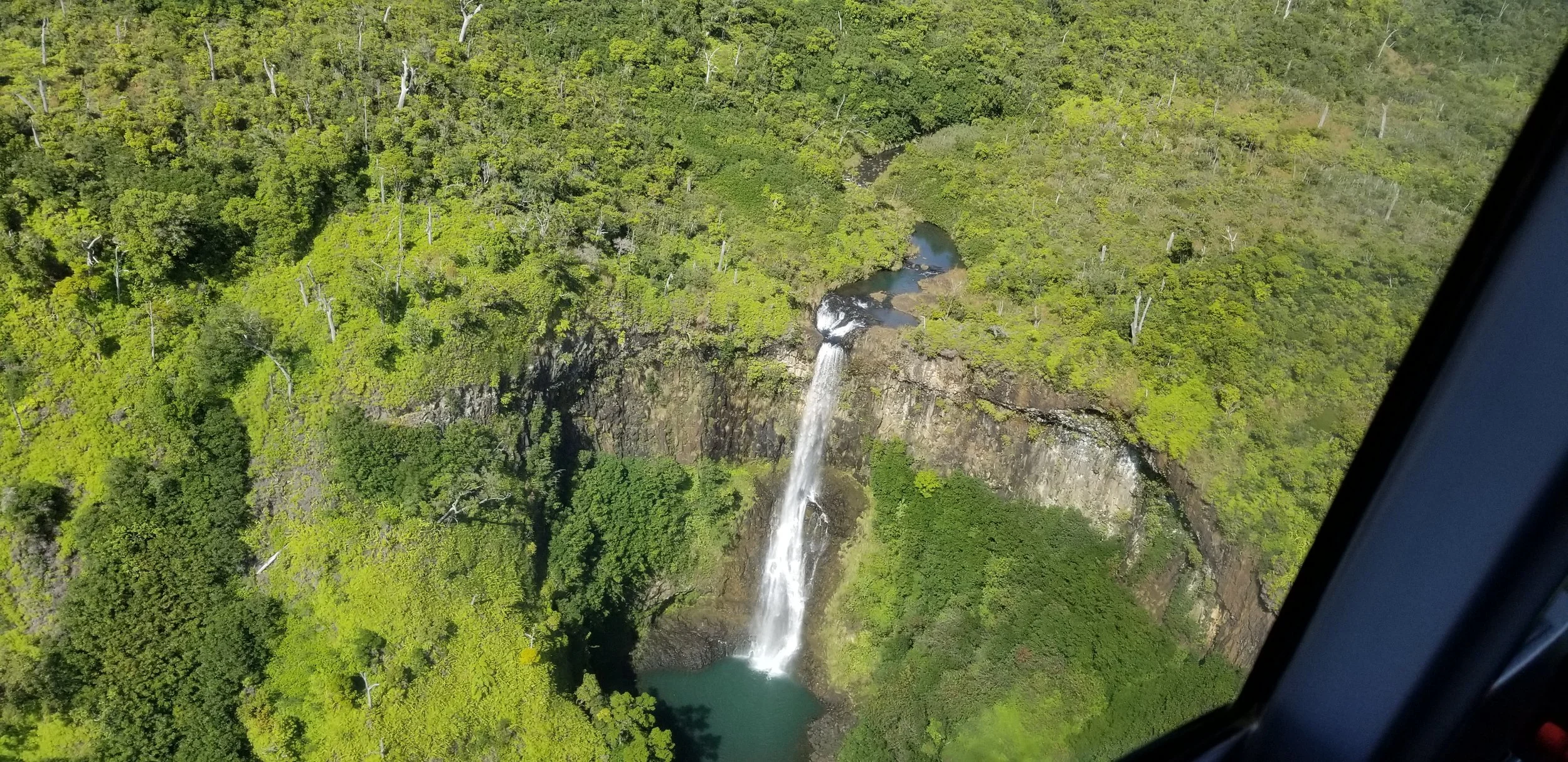 20221215_131918.jpg