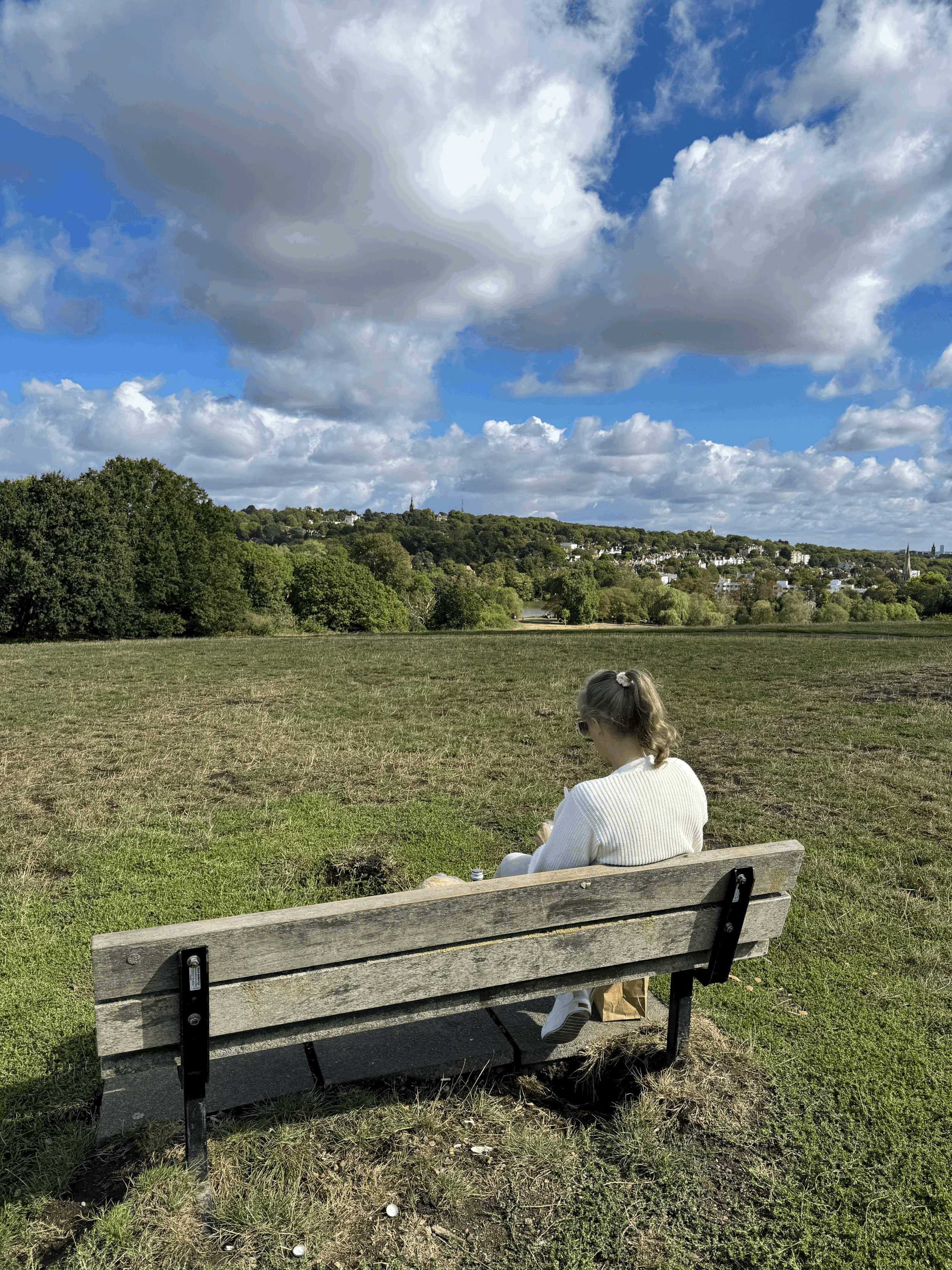 Hampstead Heath