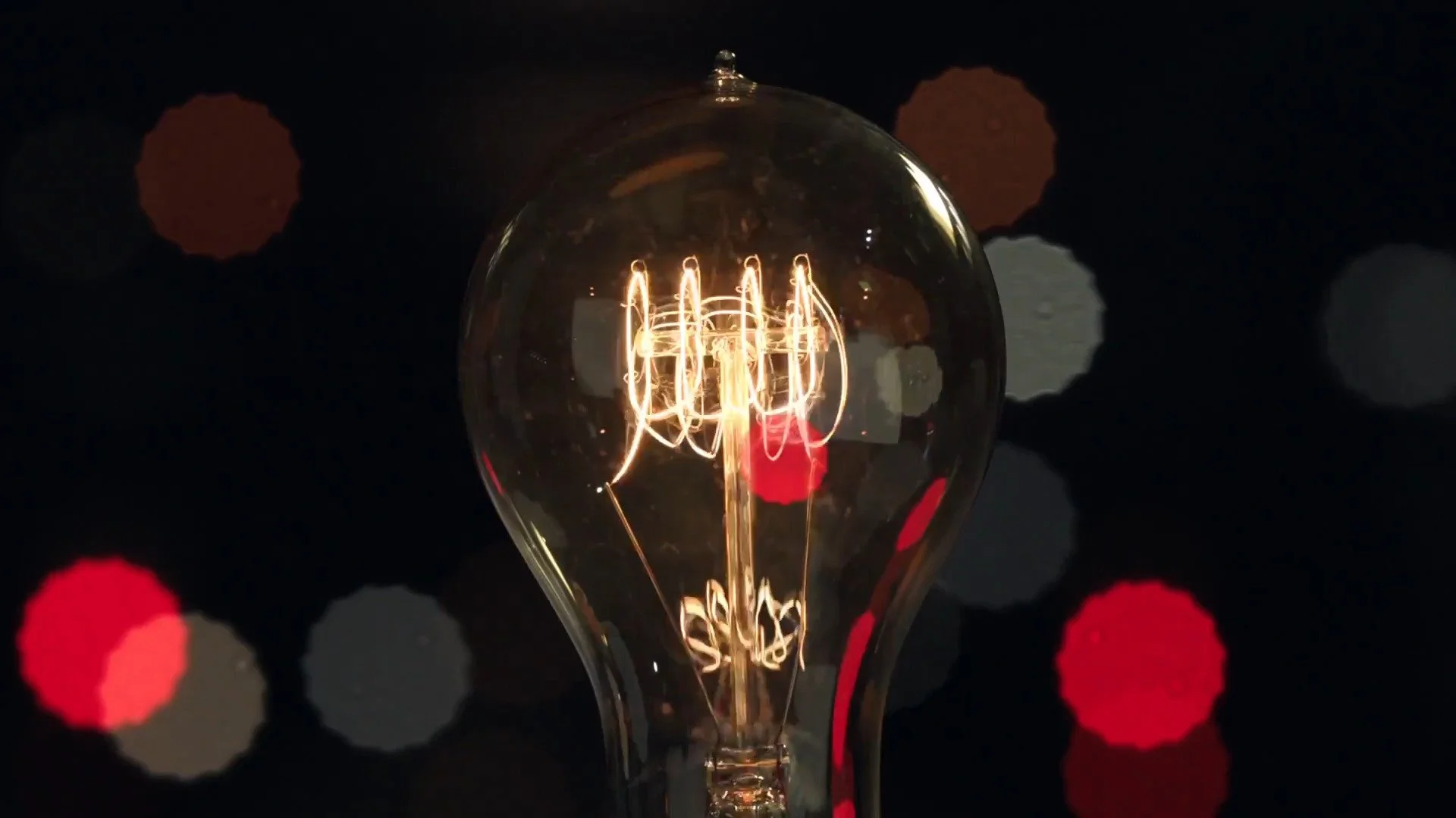 Apple | Bulbs