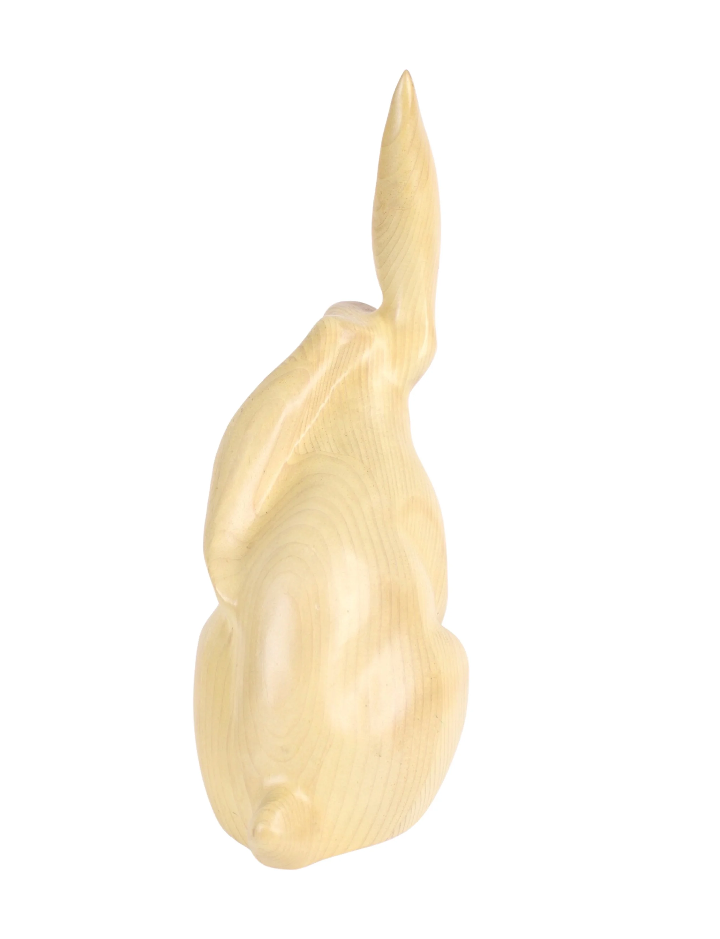 rabbit_8.jpg