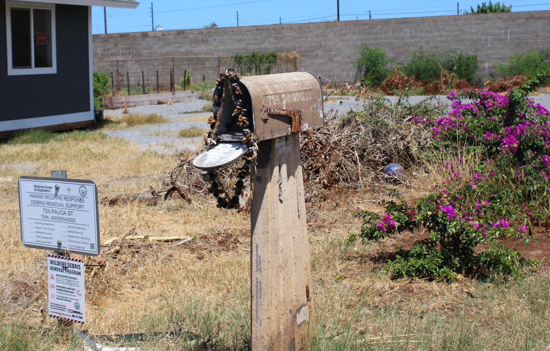 A weathered mailbox with a beaded necklace hanging on it, situated in a dry yard with purple flowers and a sign about wildfire debris removal.