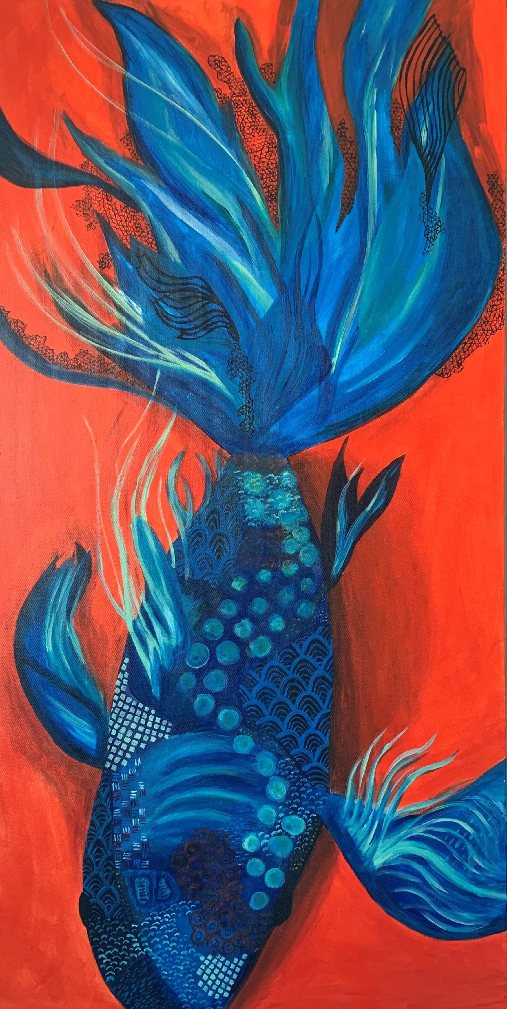 Here Fish