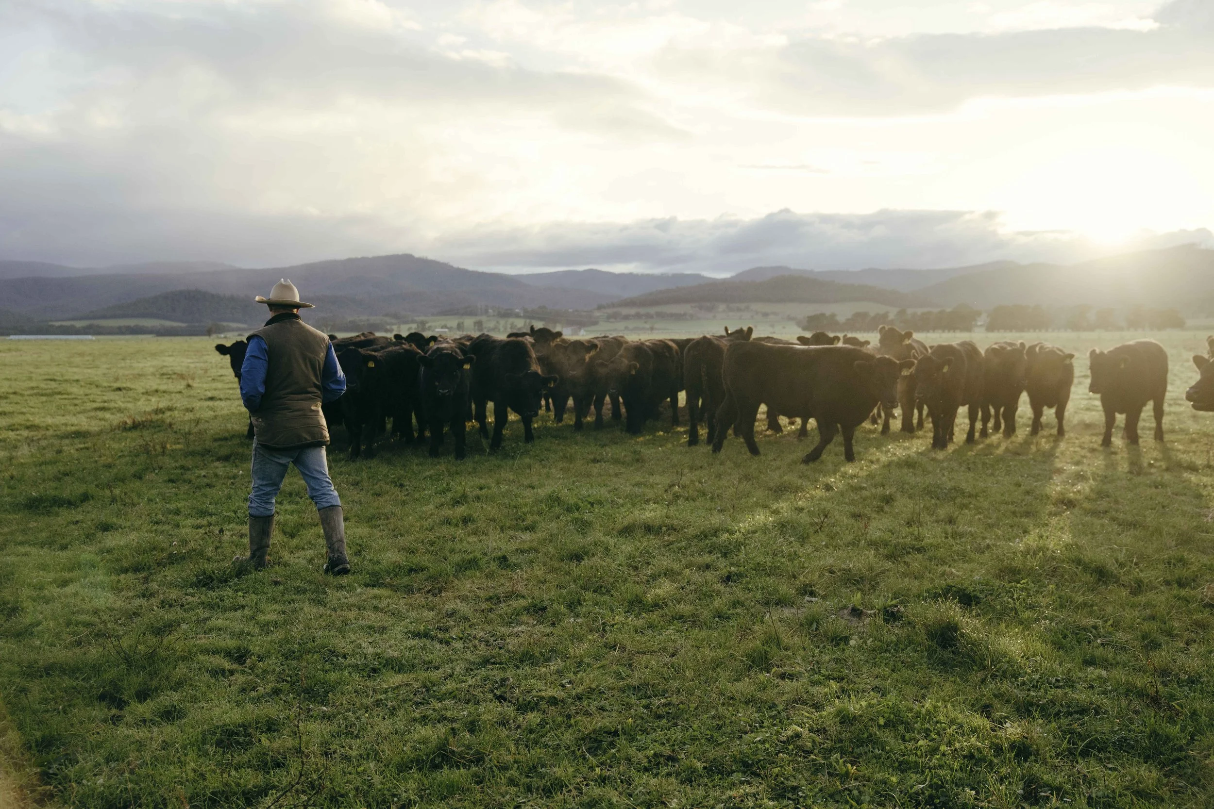 230606_Coles_01 Cattle Farm_0515.jpg