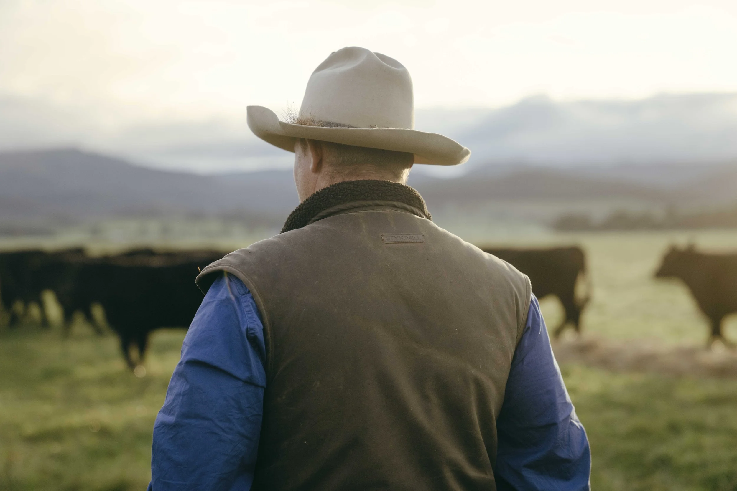 230606_Coles_01 Cattle Farm_0528.jpg