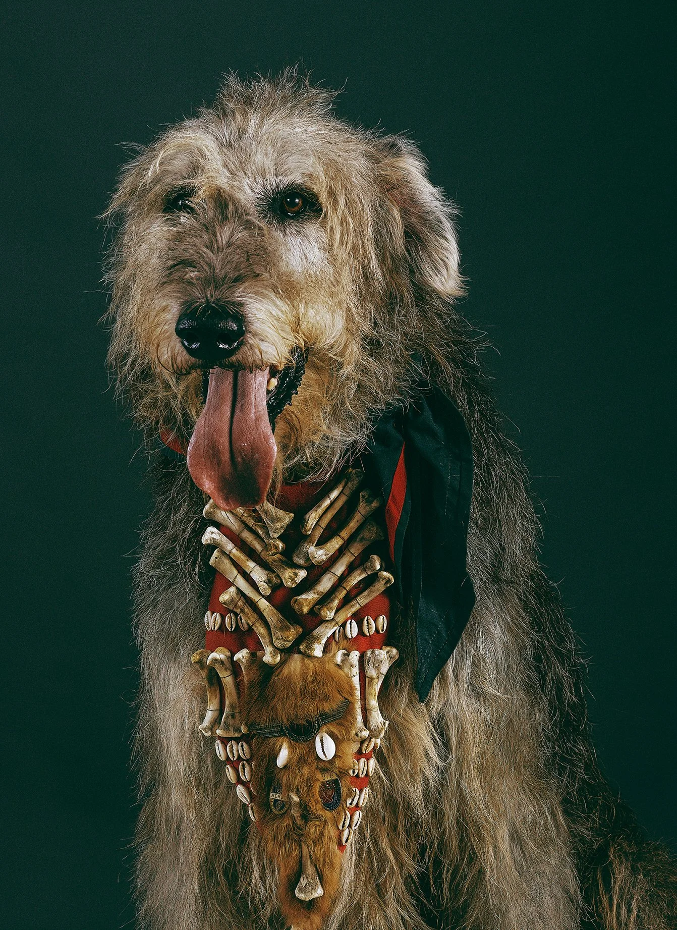 Apocalyptic Scouts_550_FINAL_LR.jpg