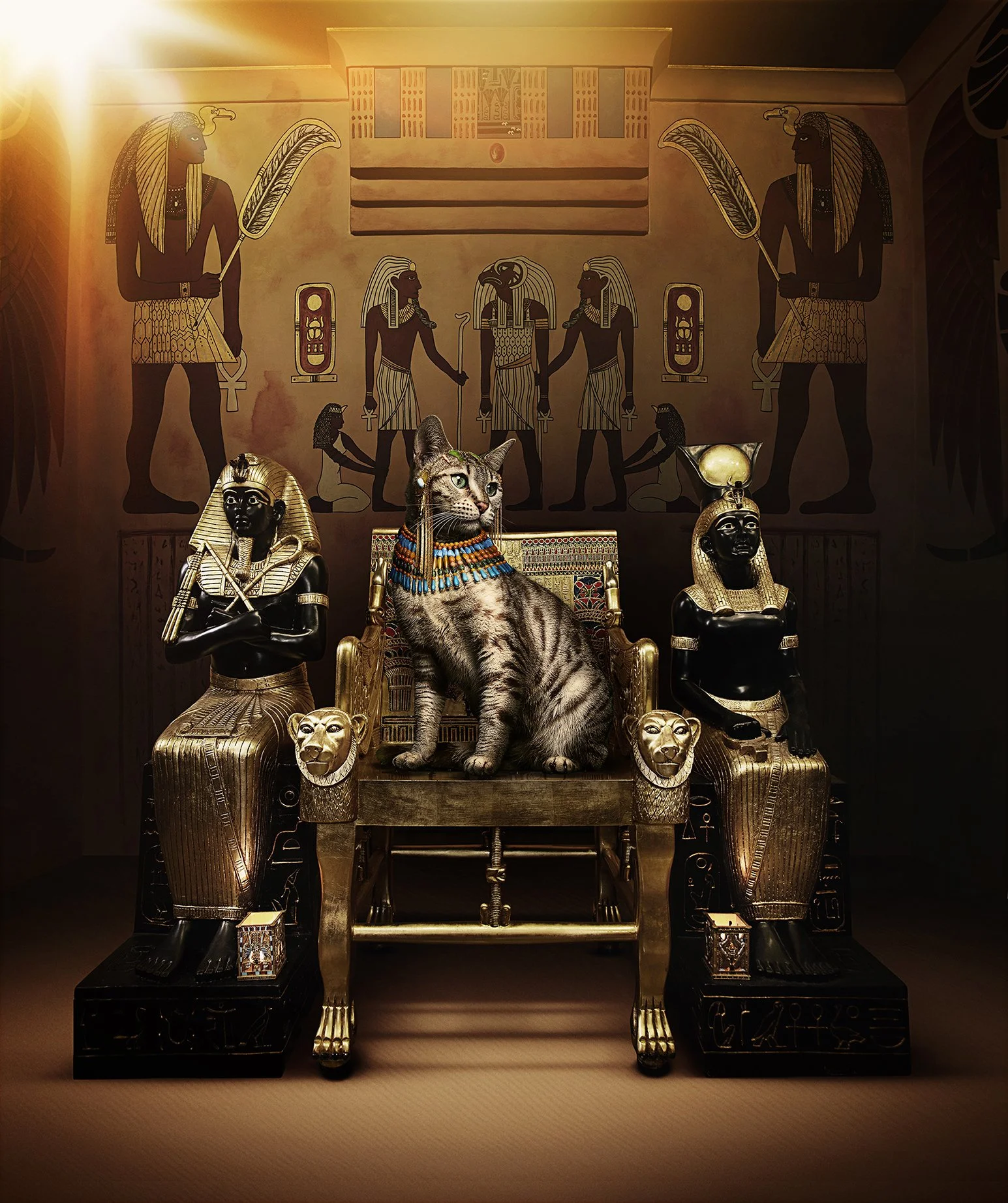 Cats +and dogs home.jpg