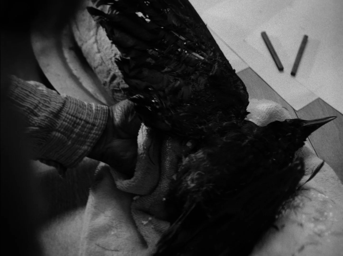 Still 2025-05-10 225613_1.8.1.jpg