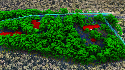 Property-level classified LiDAR with trees and buildings.