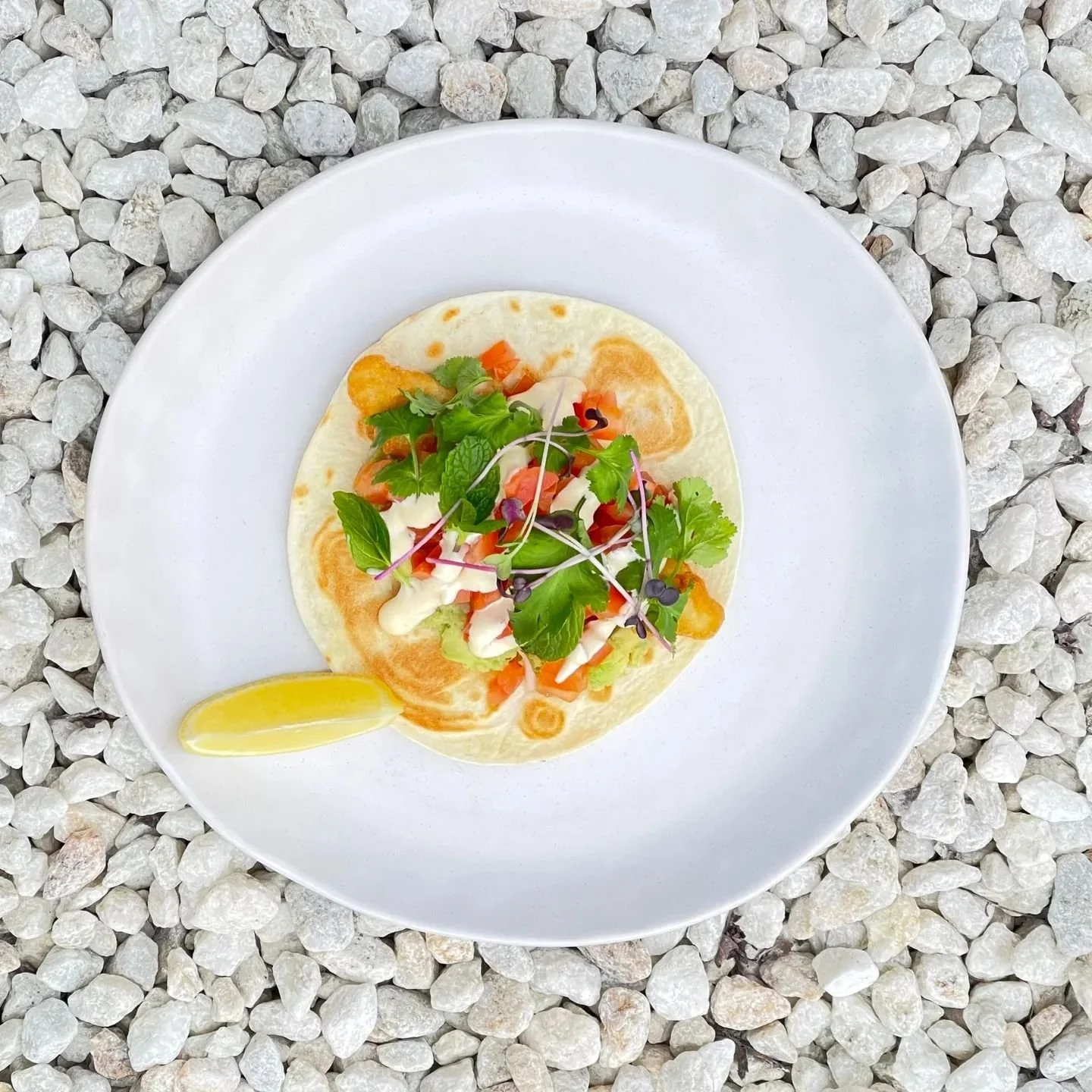 Light & Fresh - our Fish Taco
.
.
.
.
.
.
.
.
.
#lennox3188 #lennox #cafemelbourne #baysidemelbourne