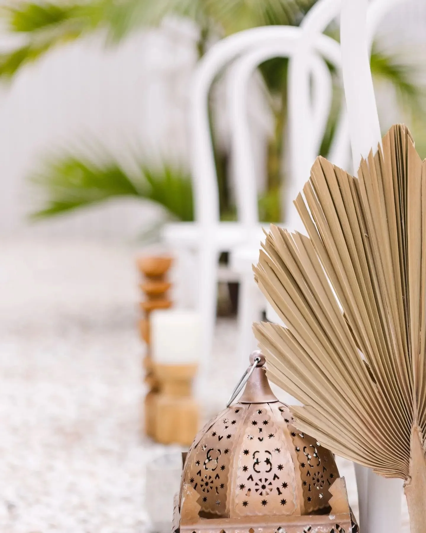 The venue for all events. DM or Email to enquire - Photo from the Vogue Australia shoot
.
.
.
.
.
.
.
.
#lennox3188 #lennox #baysidemelbourne #hamptonmelbourne #events #vogueweddings