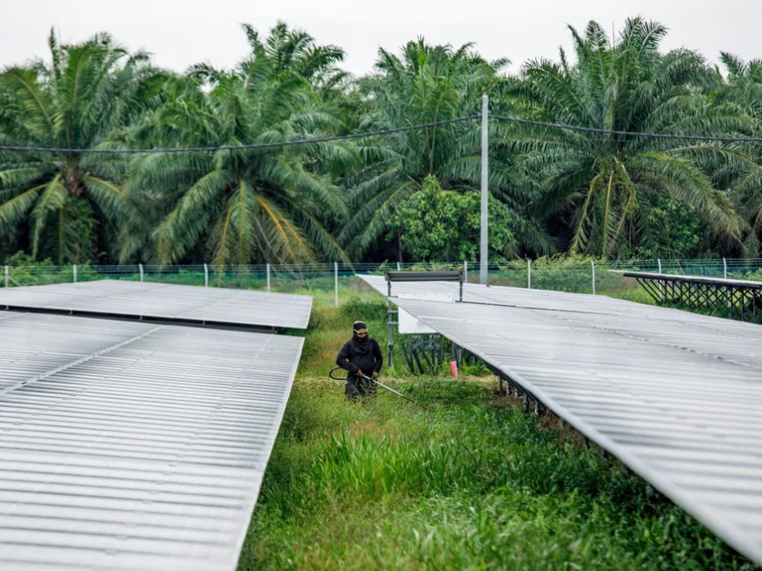 AI boom is turning Malaysia’s palm oil estates into data centres