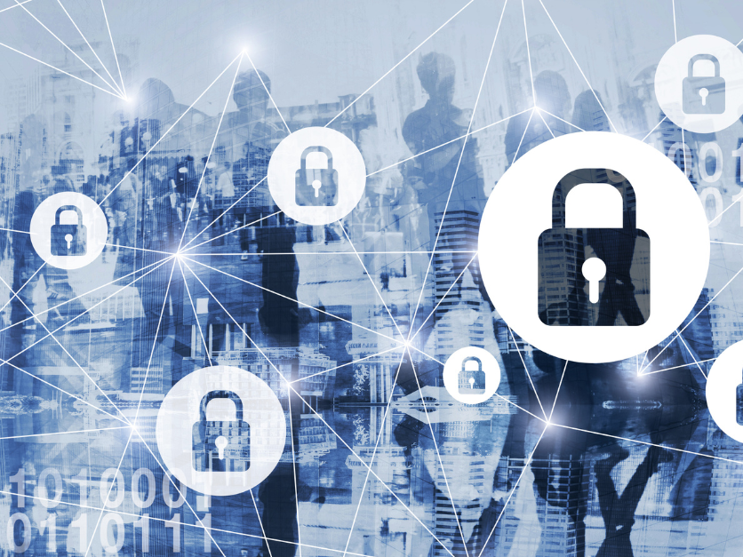 From digital curiosity to export competitiveness