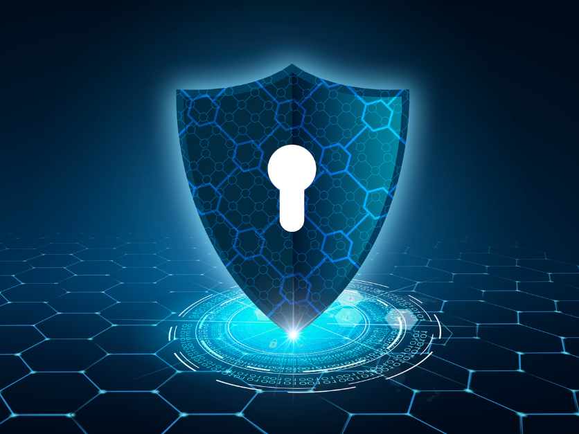 PM issues plan to enforce Law on Cybersecurity