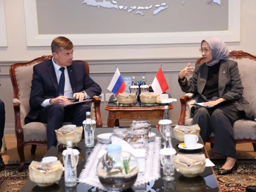 Indonesia seeks Russia's expertise to boost digital governance reform