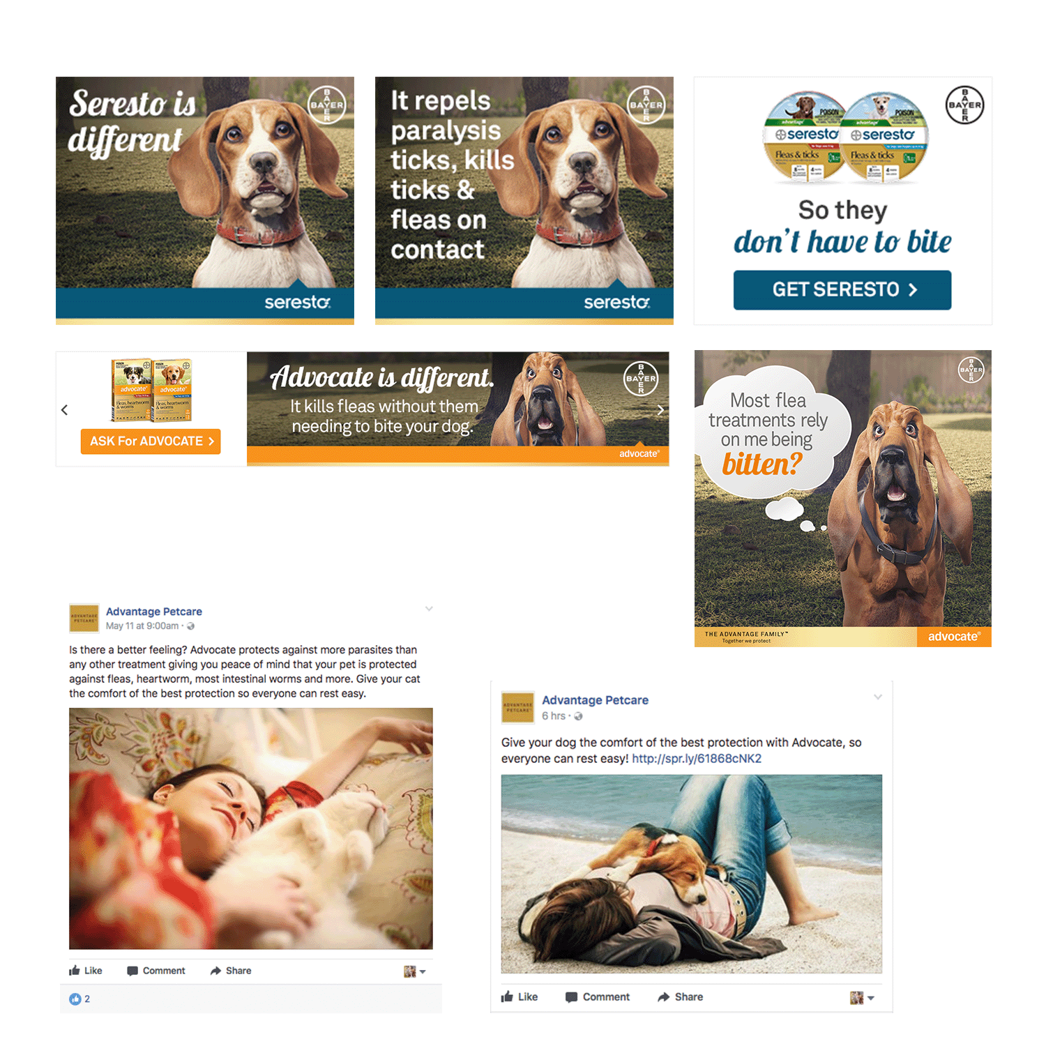 bayer_banners_fb.png