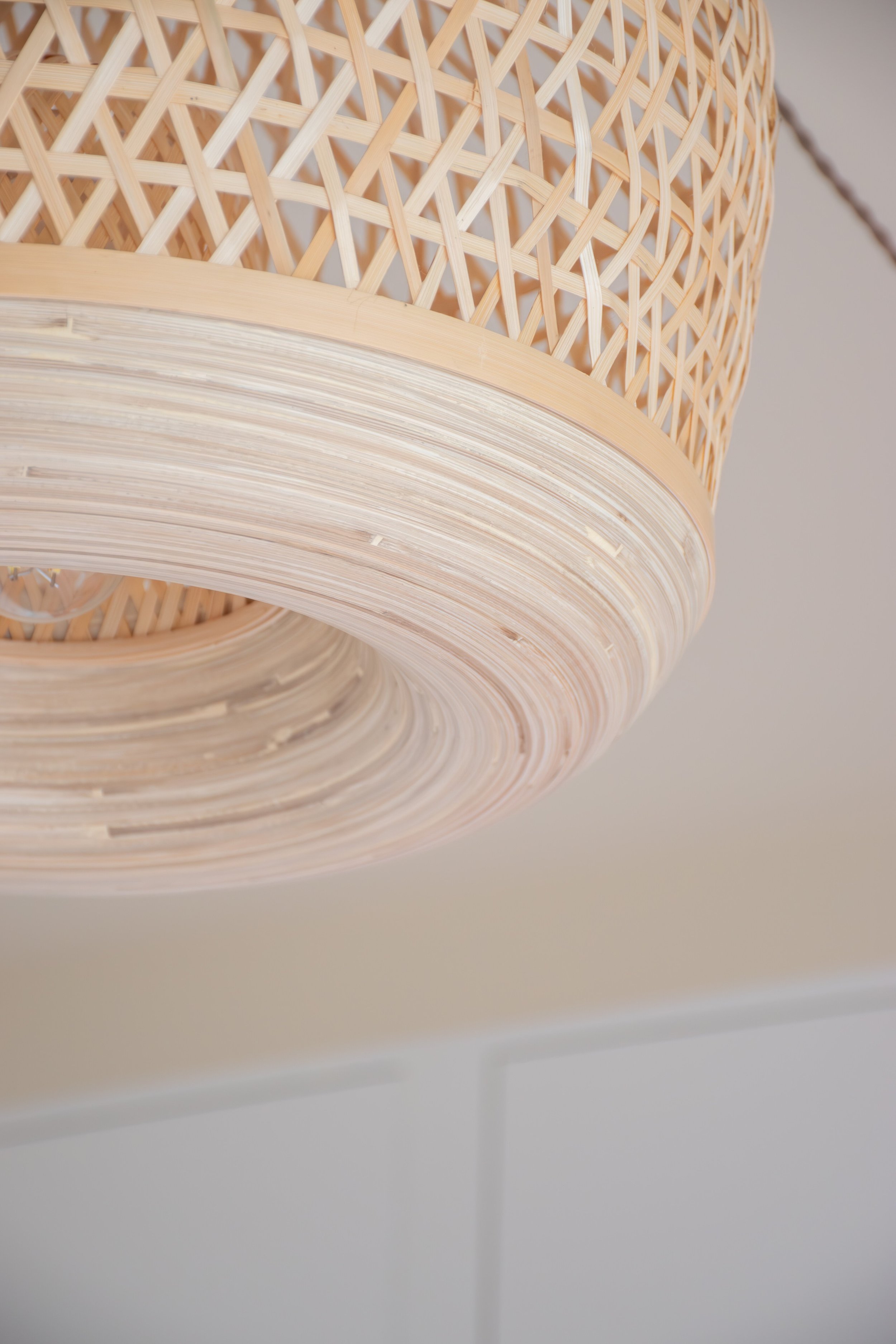 DSC_0376-Enhanced-NR (1).jpg