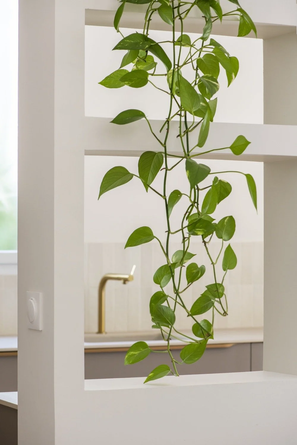 Projet Aix Justine 36 (2).jpg