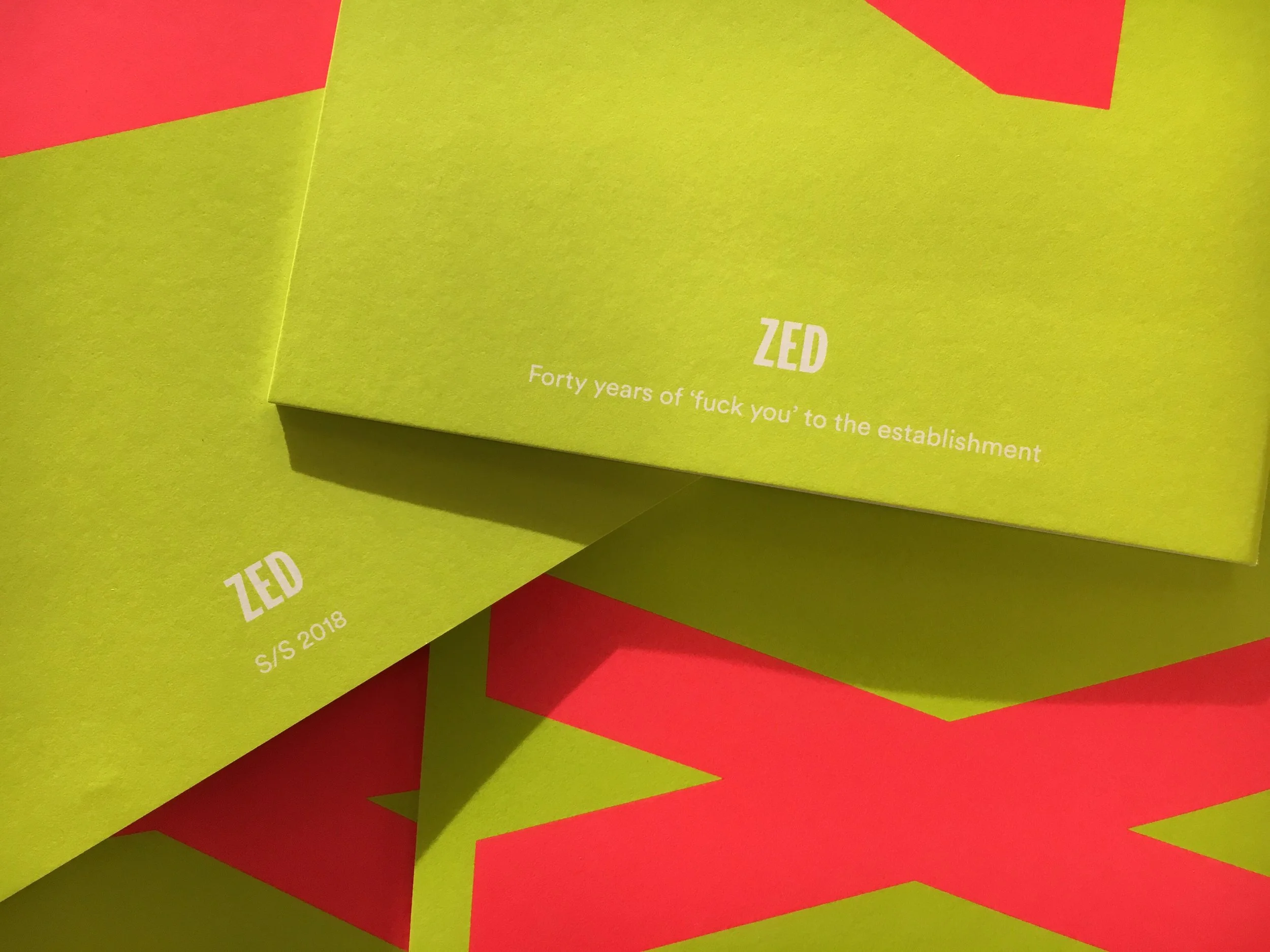 Kika Sroka-Miller_Publishing_09_Fuck You to the Establishment.JPG