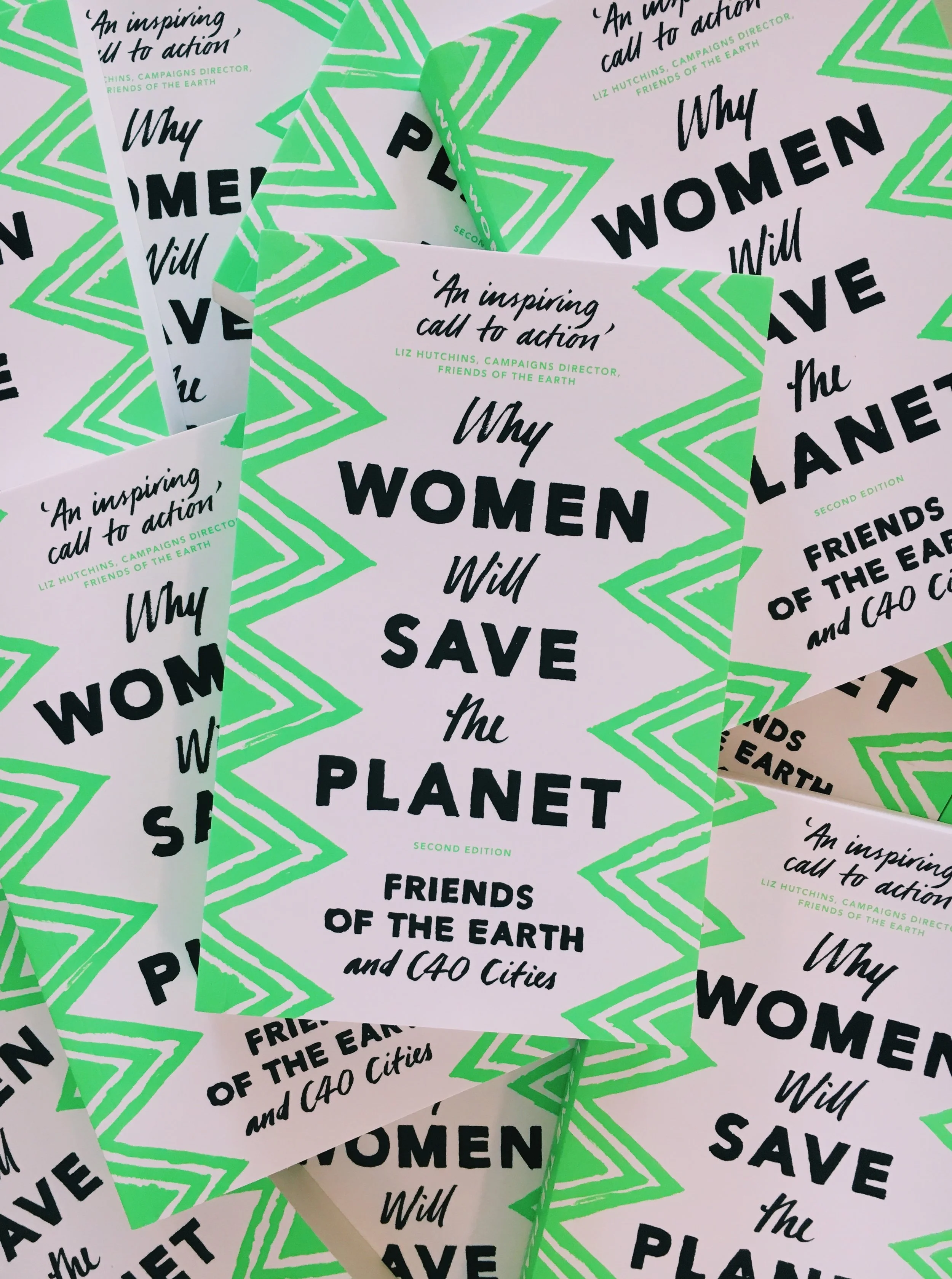 Kika Sroka-Miller_Publishing_15_Friends of the Earth.JPG