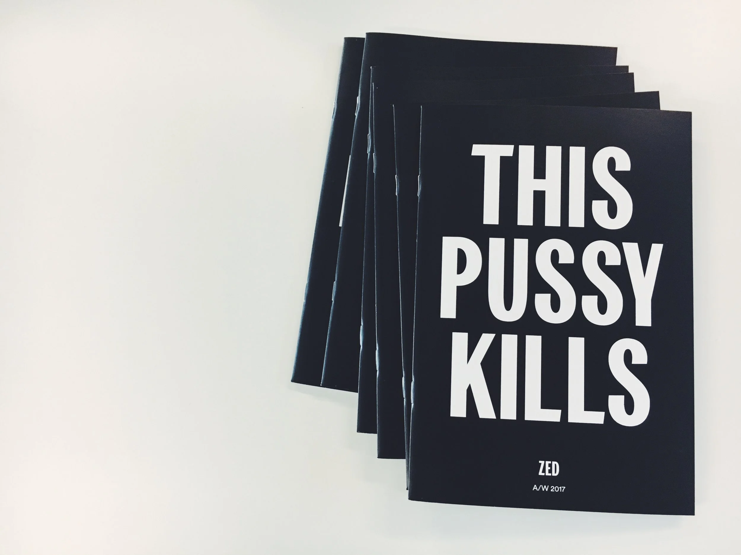 Kika Sroka-Miller_Publishing_27_This_Pussy_Kills.JPG