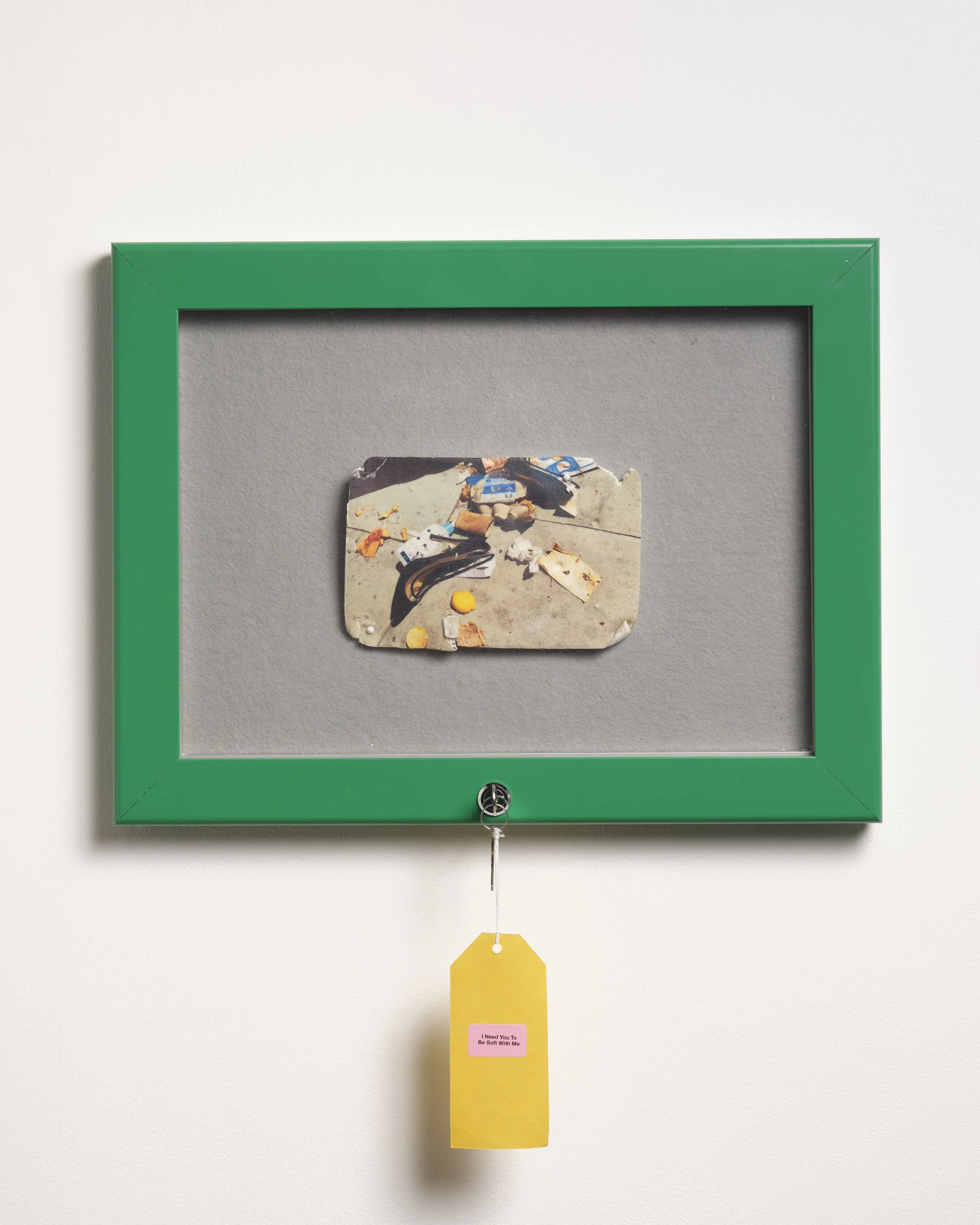 77-20250905figtree web.jpg