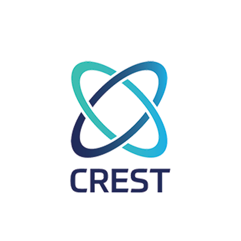 Cyro Cyber - Professional & Managed Cyber Security Services