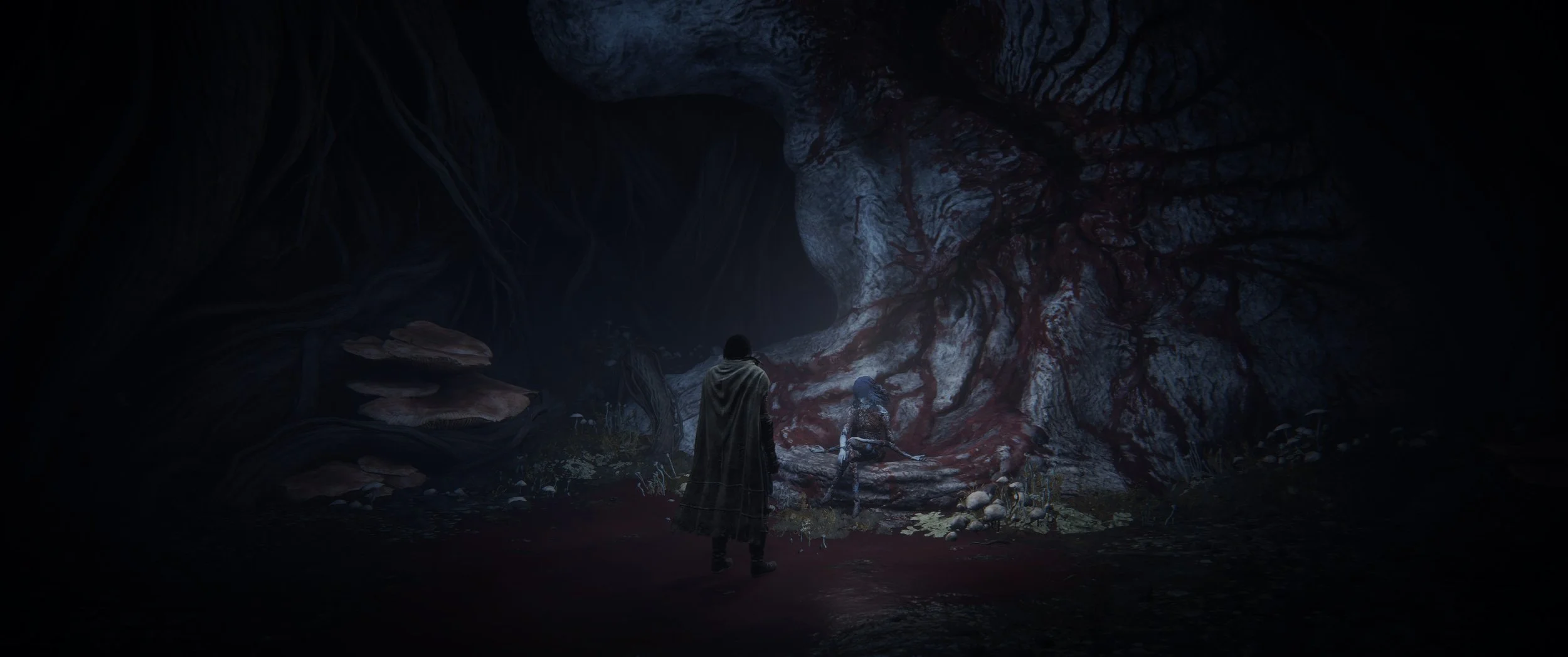 Zwei Personen in einer dunklen Höhle, mit einer von ihnen in einem Umhang, die andere auf dem Boden sitzend, umgeben von Pilzen und Wurzeln.