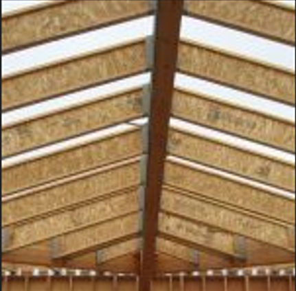 Oranssi project: roof expansion