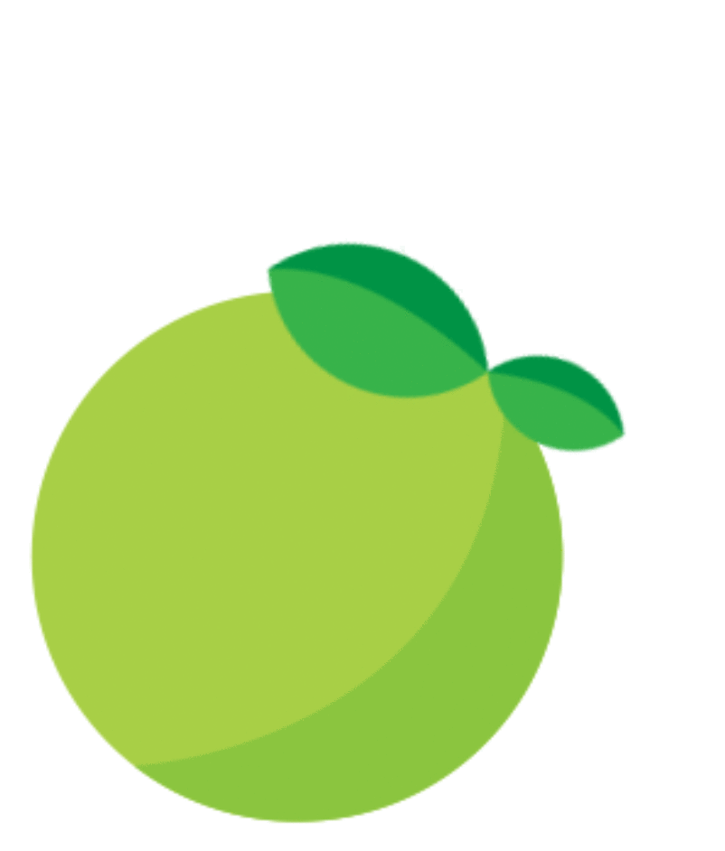 A stylized green fruit with two green leaves on top, outlined in white, on a light green background.