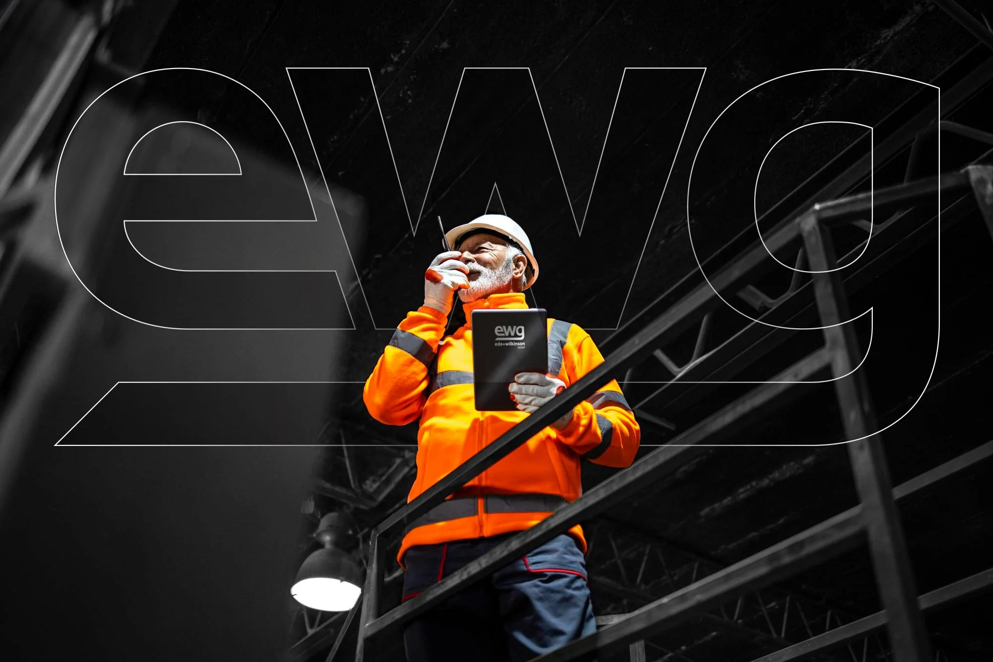 creative design for EWG in Essex