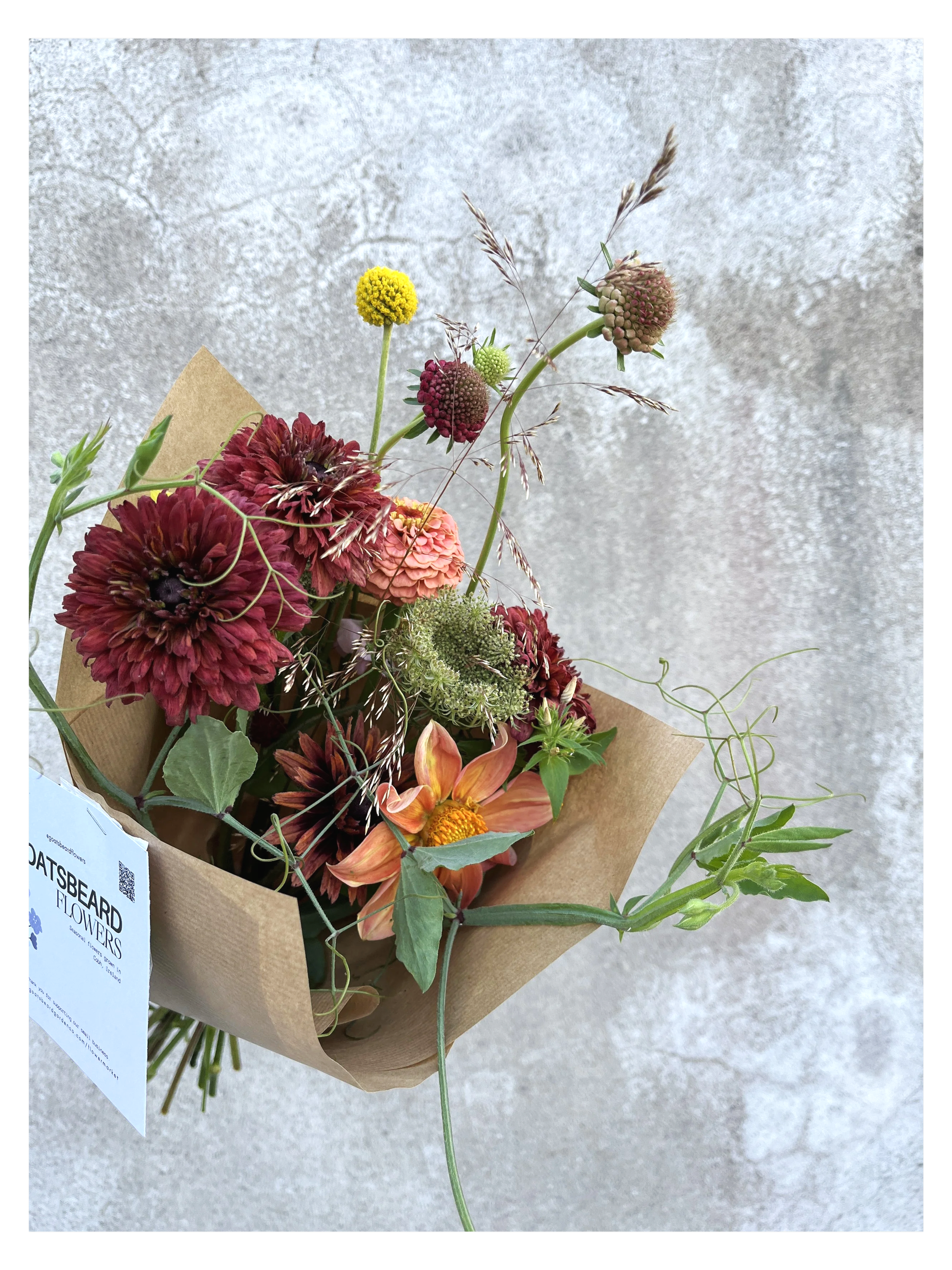 goatsbeard-flower-bouquet-1.png