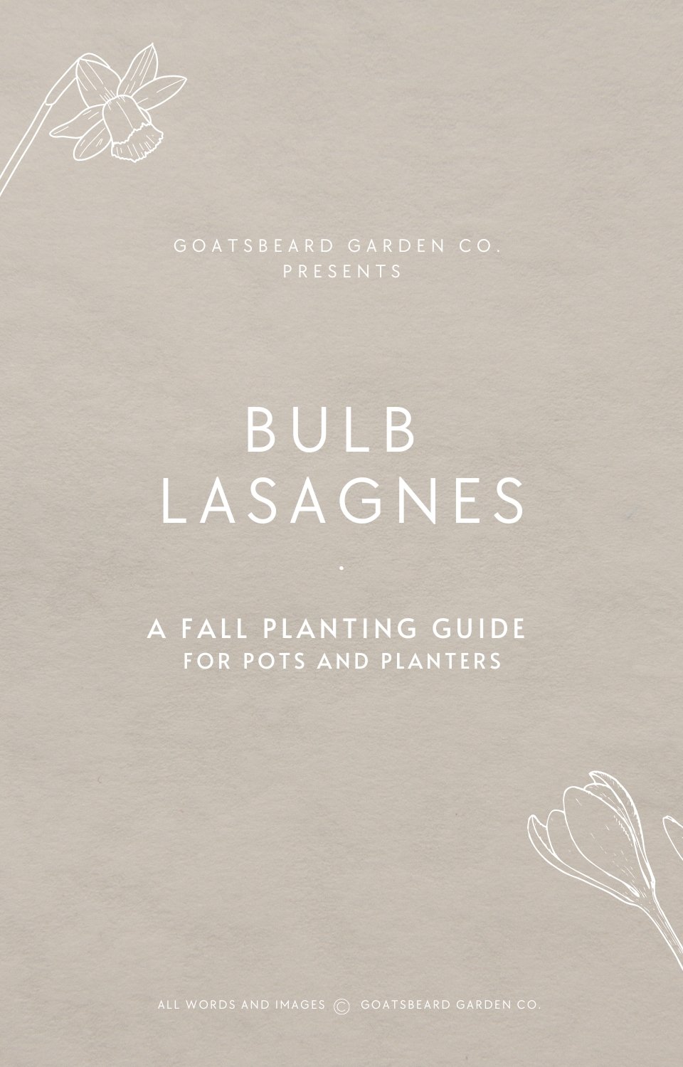 Bulb-Lasagne-Guide-1.jpg