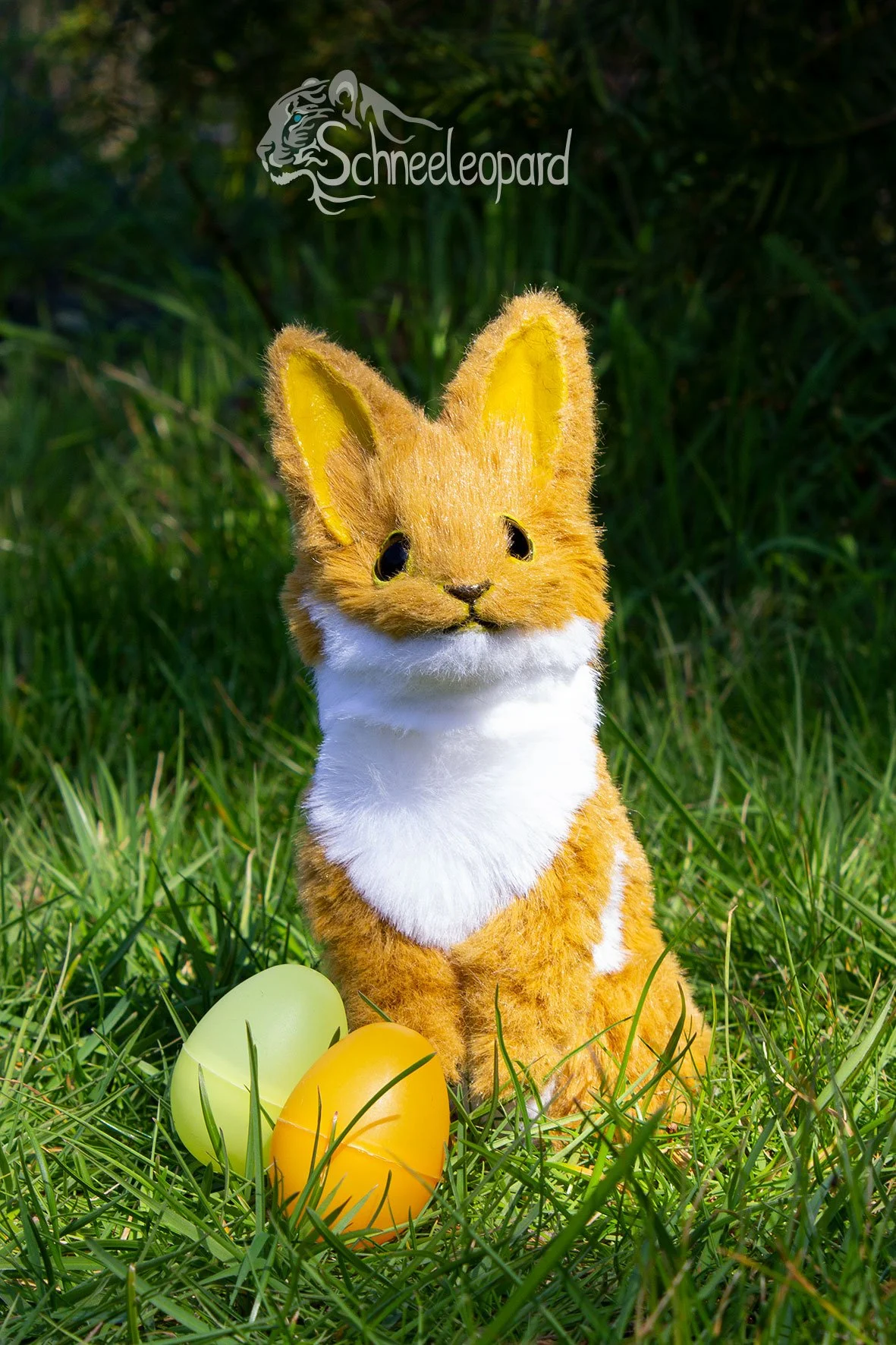 Chirry-V1.jpg