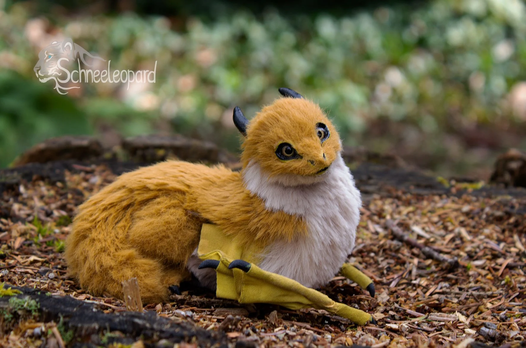 Chiku1.jpg