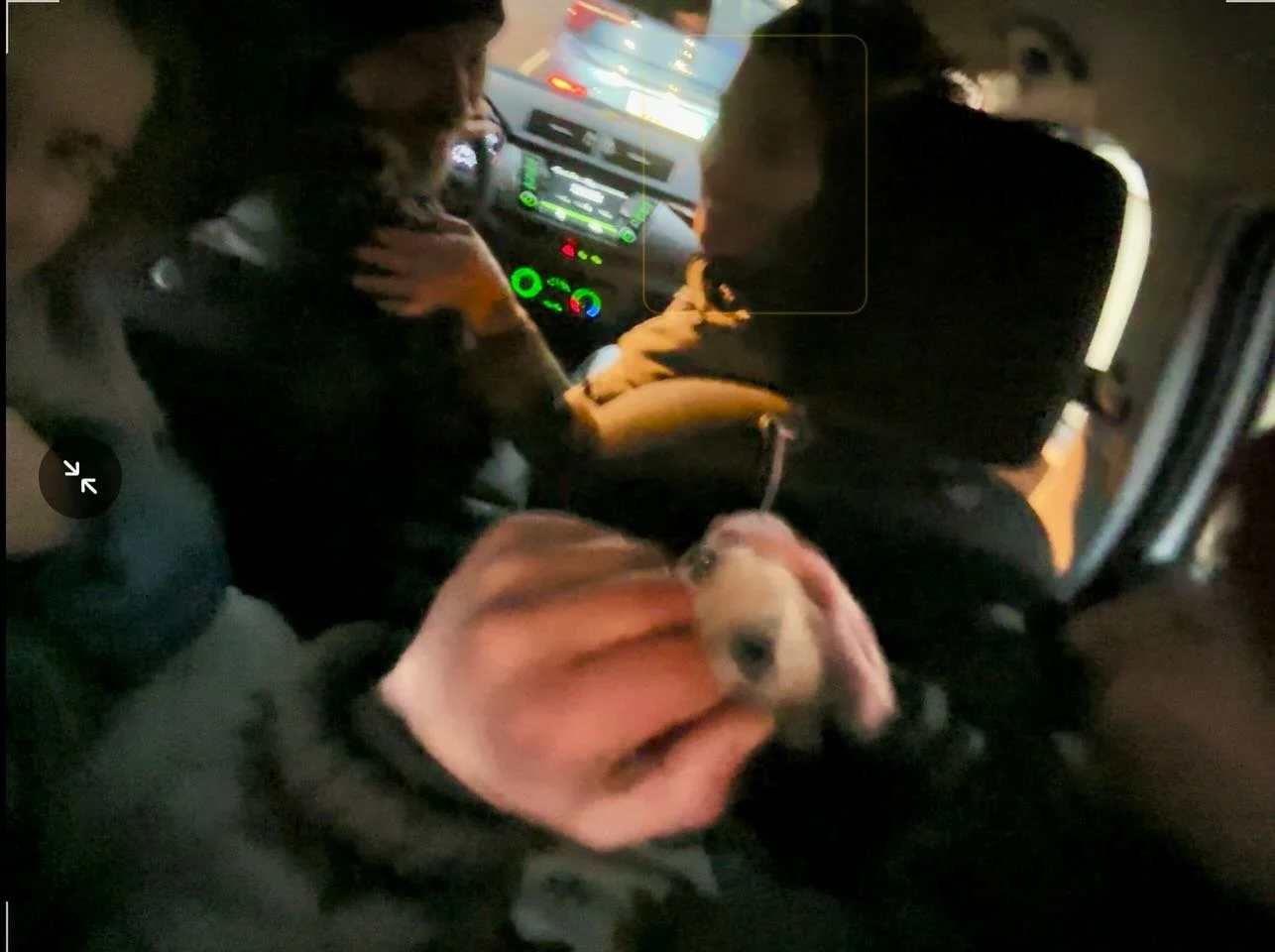 A magic Christmas Eve with our oldest friends and extended furry family &hearts;️✨