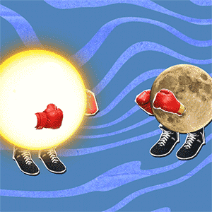 Sun_Vs_Moon_15f_300.gif