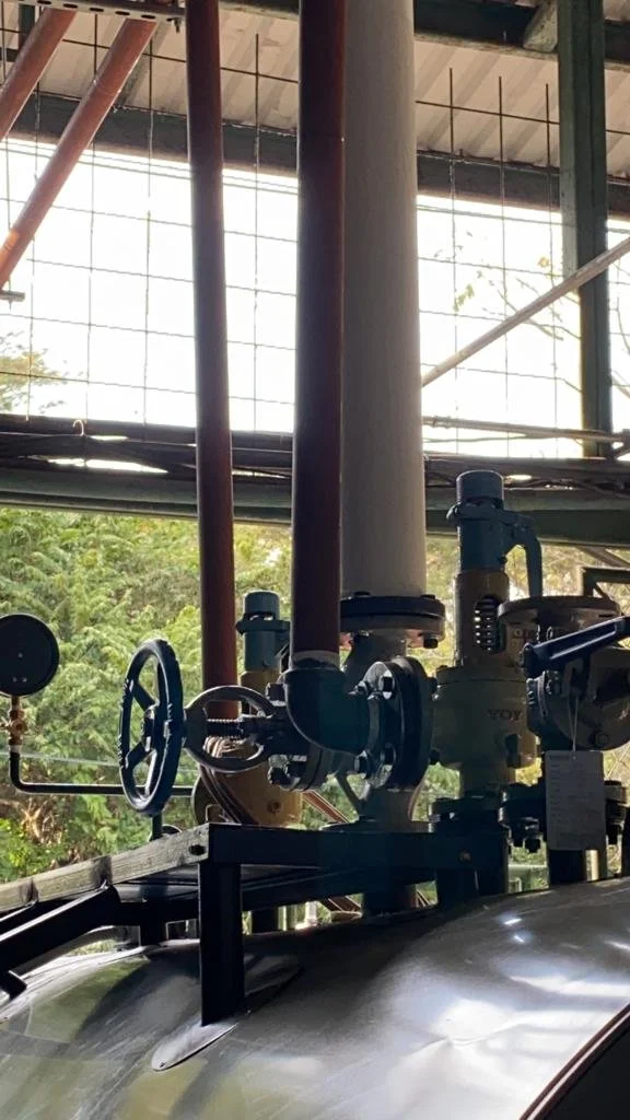 WhatsApp Image 2022-08-30 at 11.13.51 AM (2)(1).jpeg