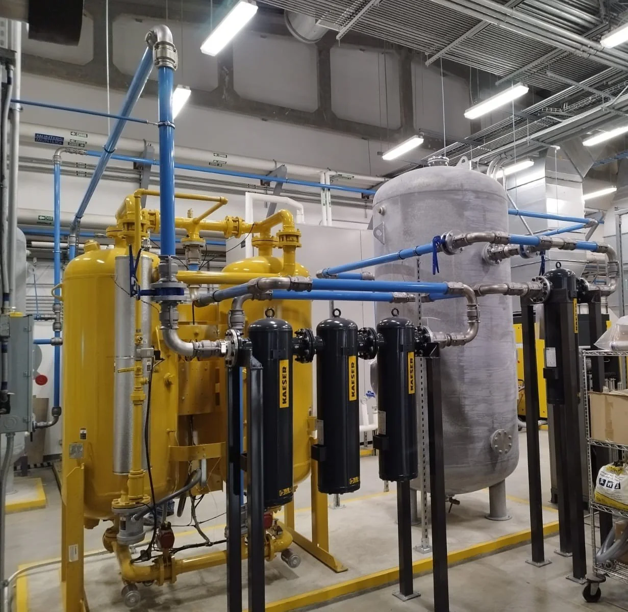 WhatsApp Image 2022-08-30 at 11.45.07 AM.jpeg