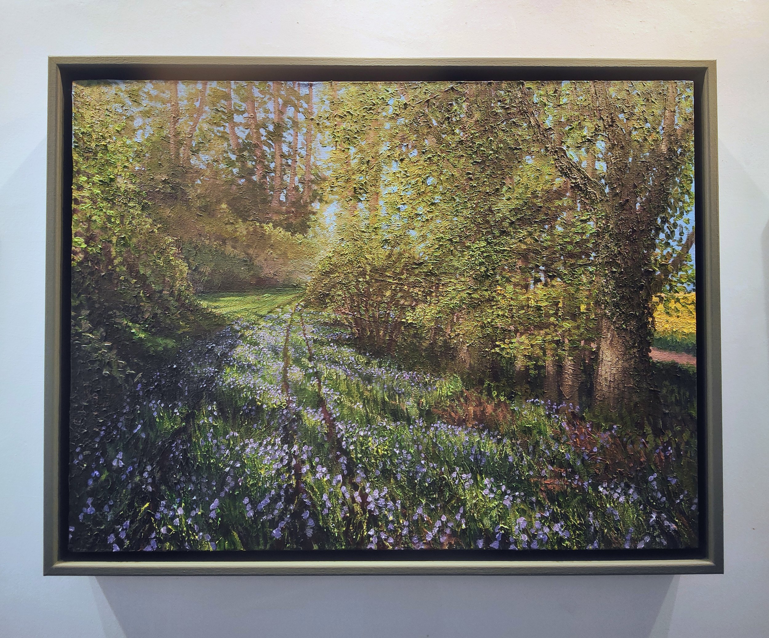 Through the Bluebells