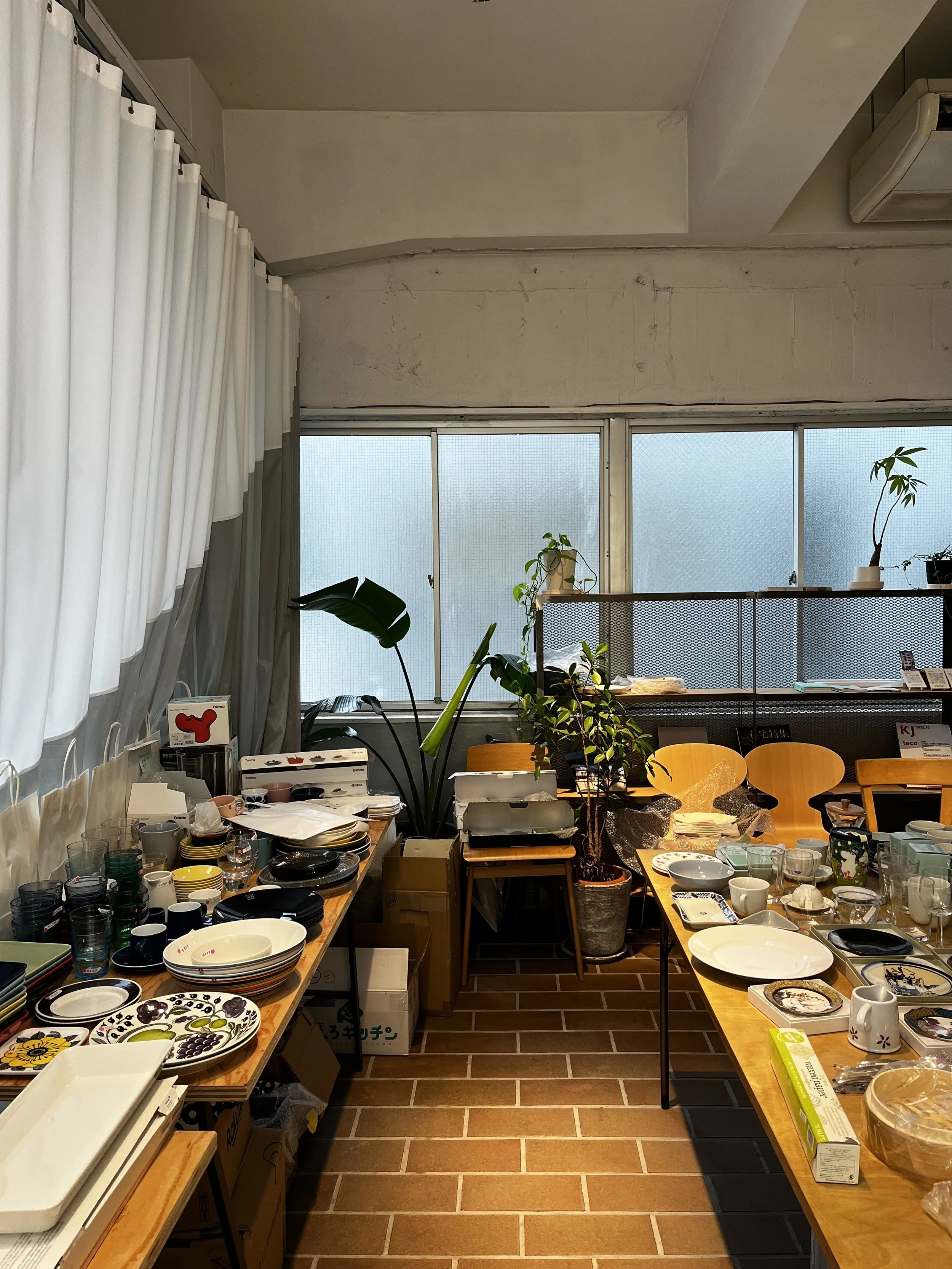 IMG_5762.jpeg