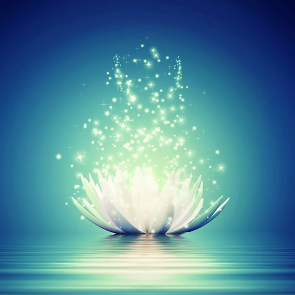 9 Star Ki Predicition — Behind the Veil Hypnotherapy