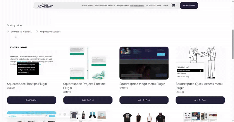 squarespace-store-page-price-sorter-plugin-thumbnail.gif